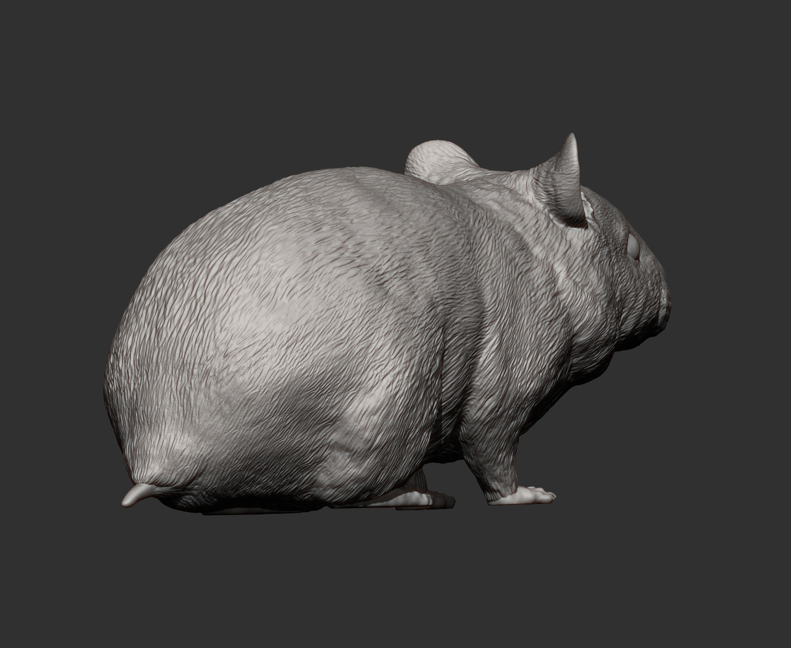 Hamster 3D print model_8