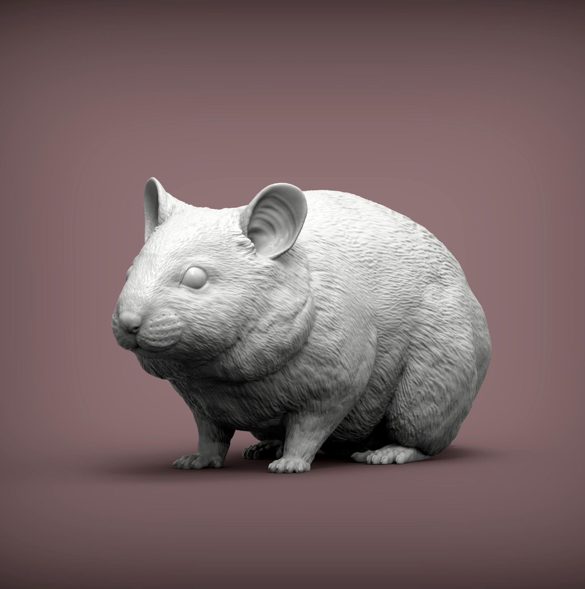 Hamster 3D print model_2