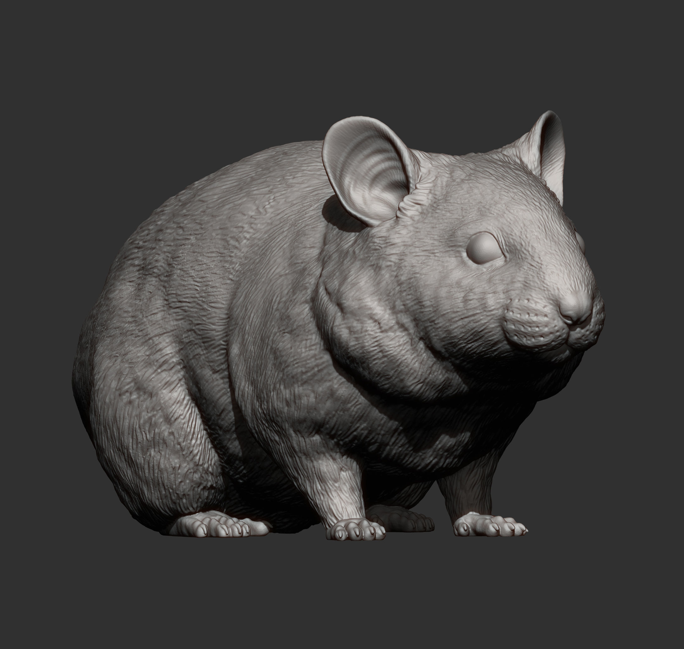 Hamster 3D print model_9
