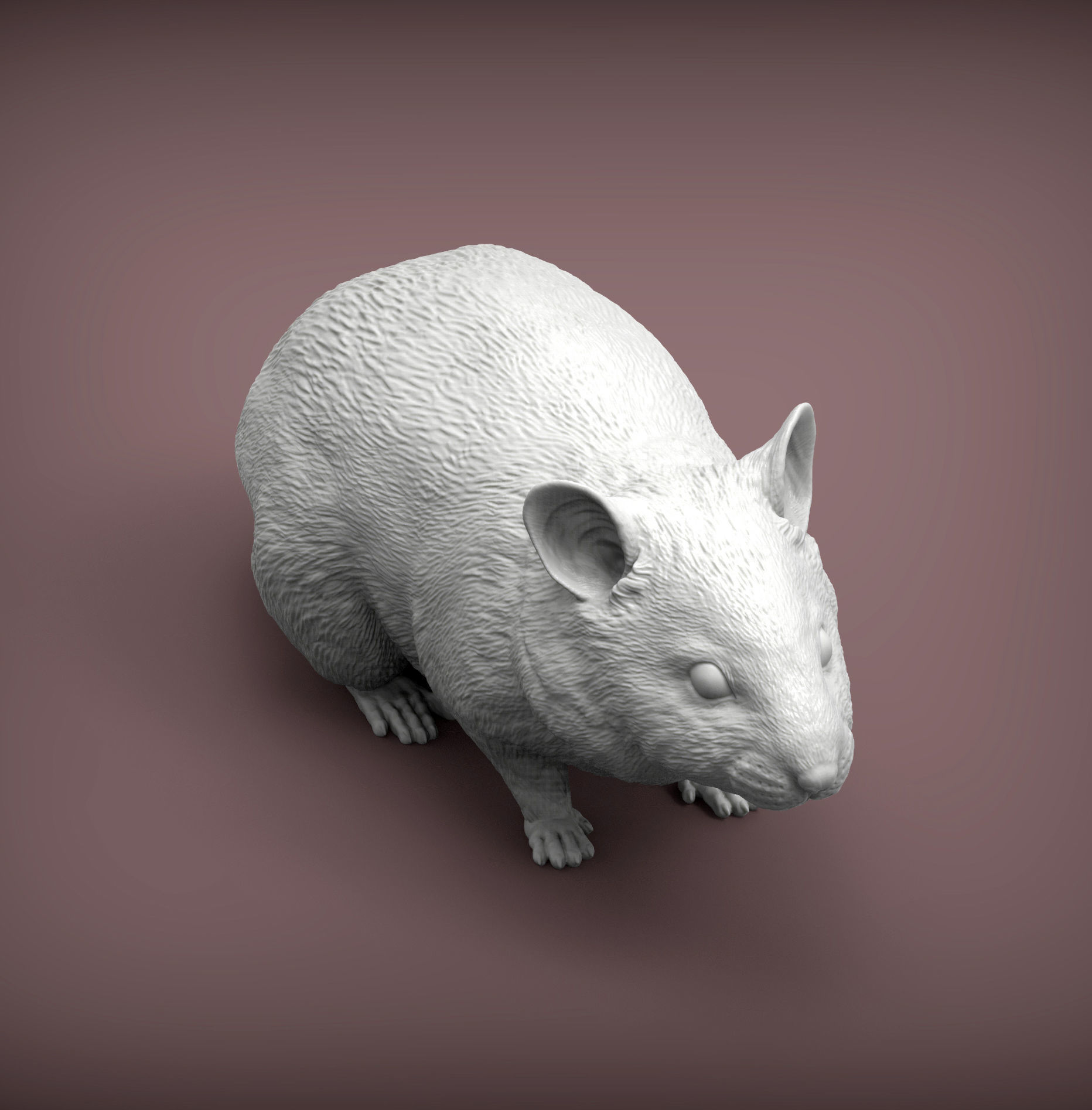Hamster 3D print model_5