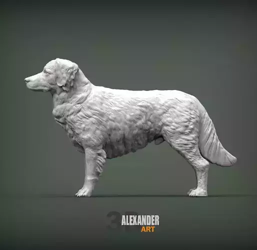 Nova Scotia Duck Tolling Retriever 3D print model