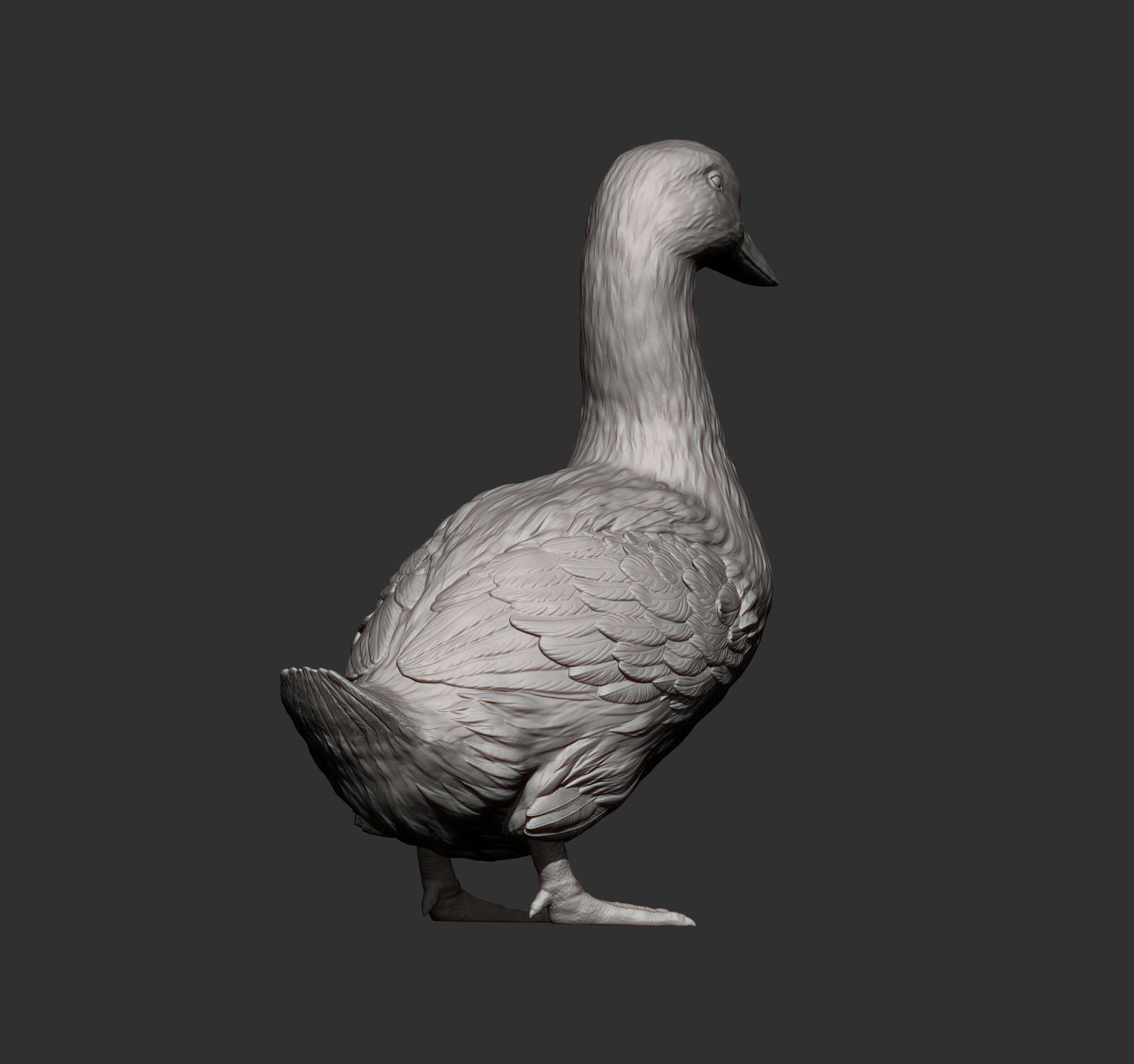 pekin duck 3D print model_7