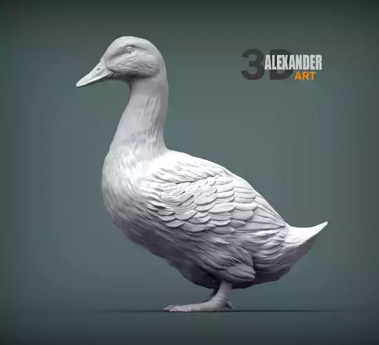 pekin duck 3D print model pekin duck 3D print model
