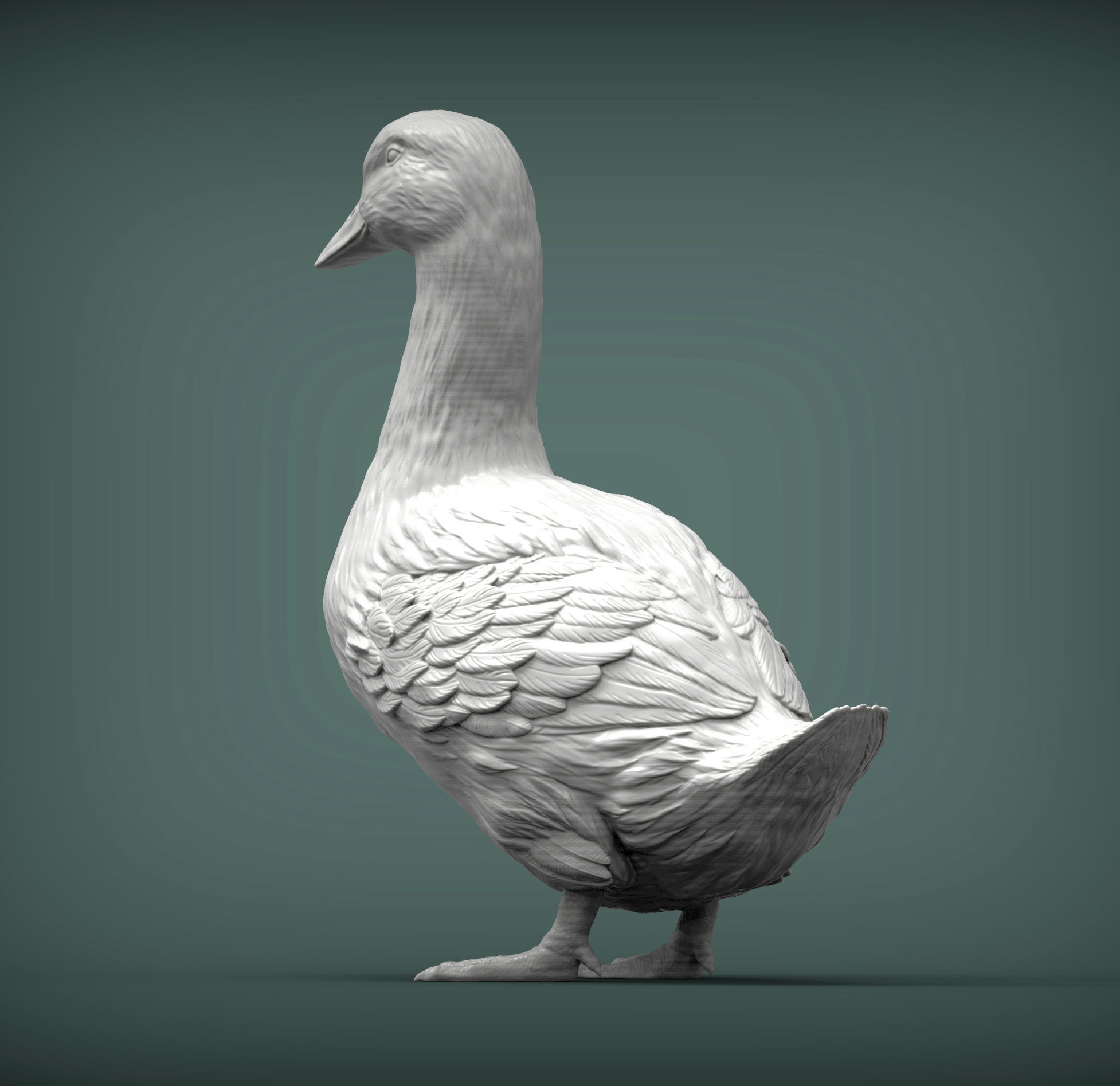 pekin duck 3D print model_3