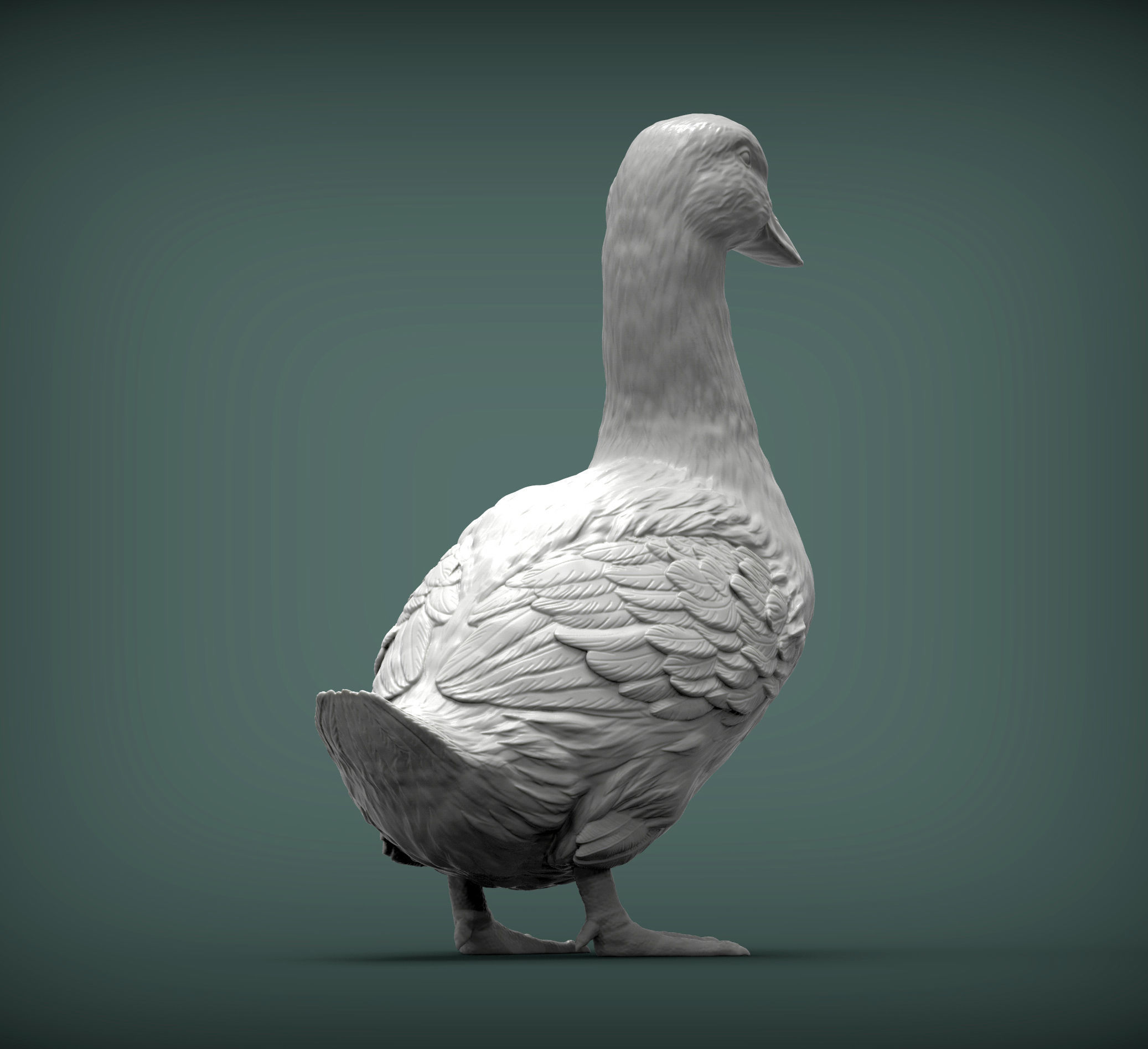 pekin duck 3D print model_5