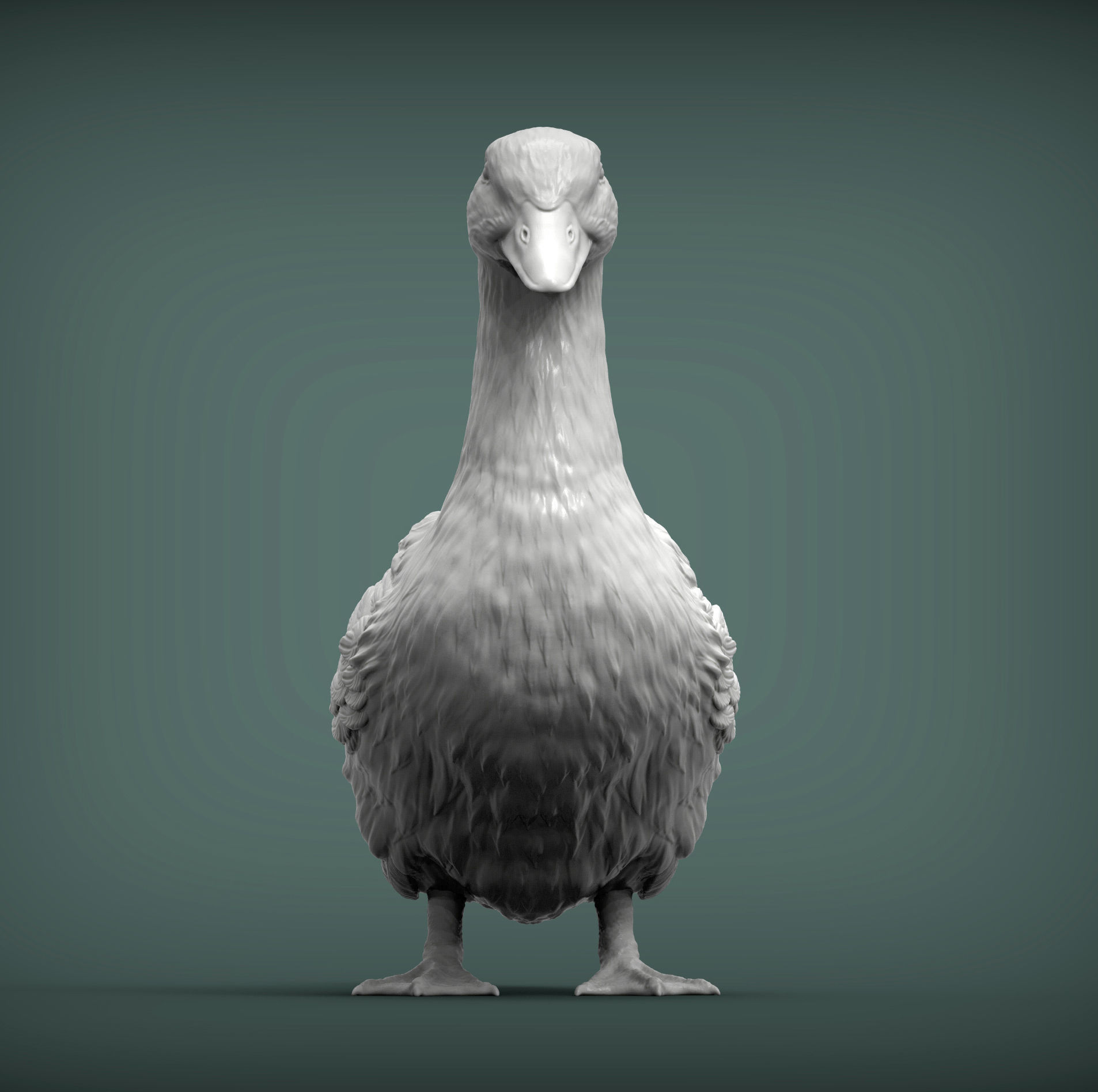 pekin duck 3D print model_4