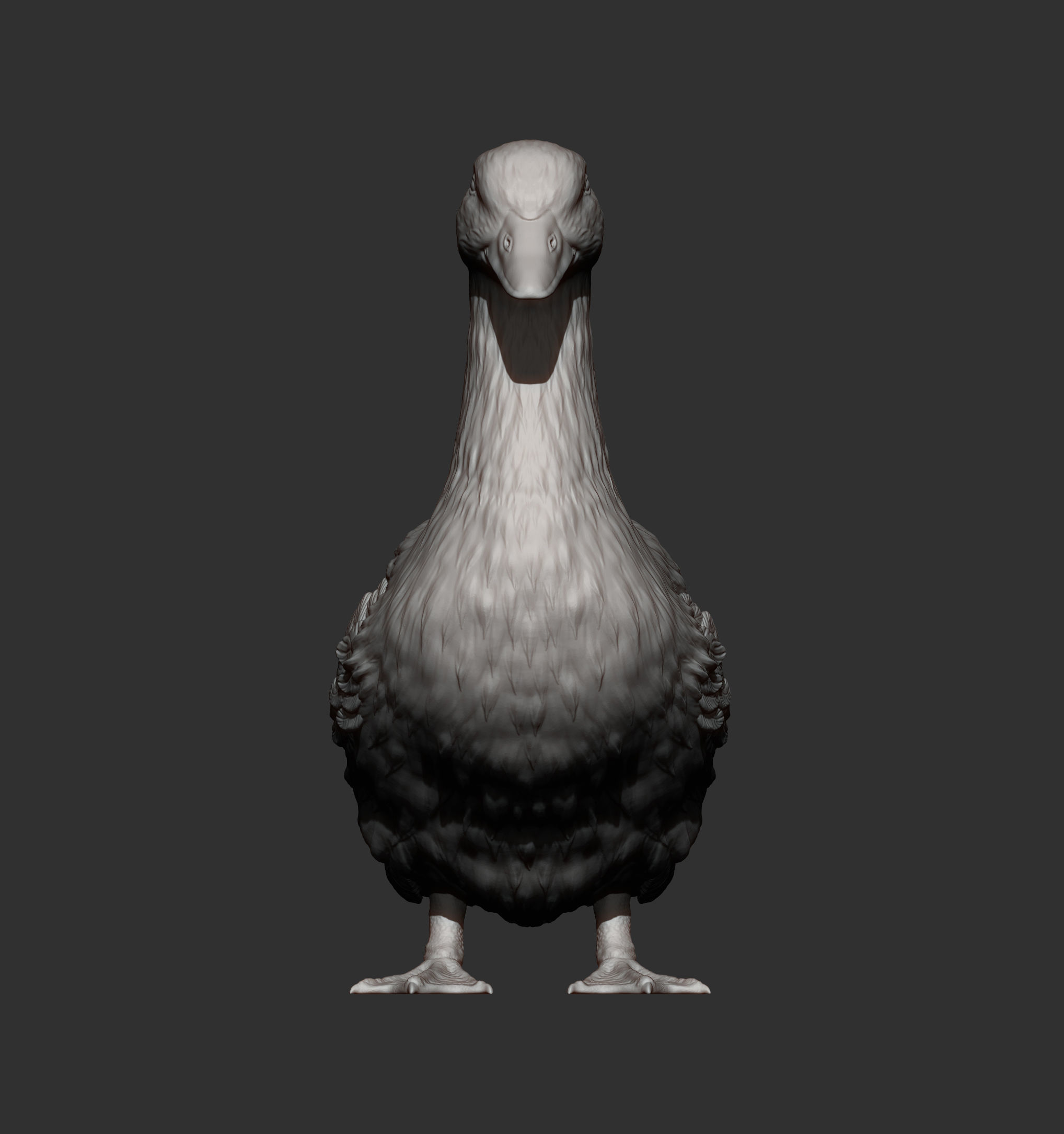pekin duck 3D print model_12