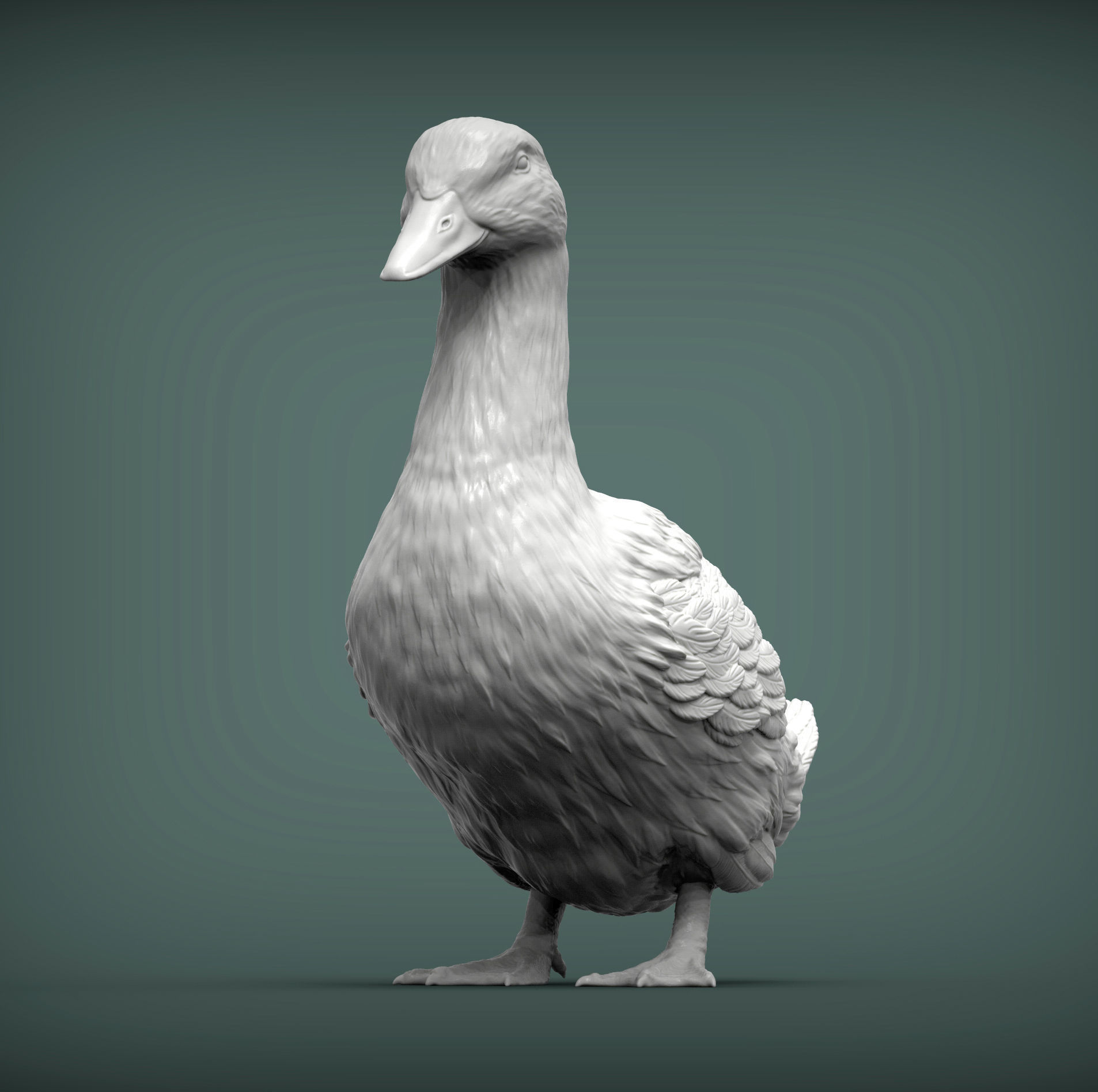 pekin duck 3D print model_2