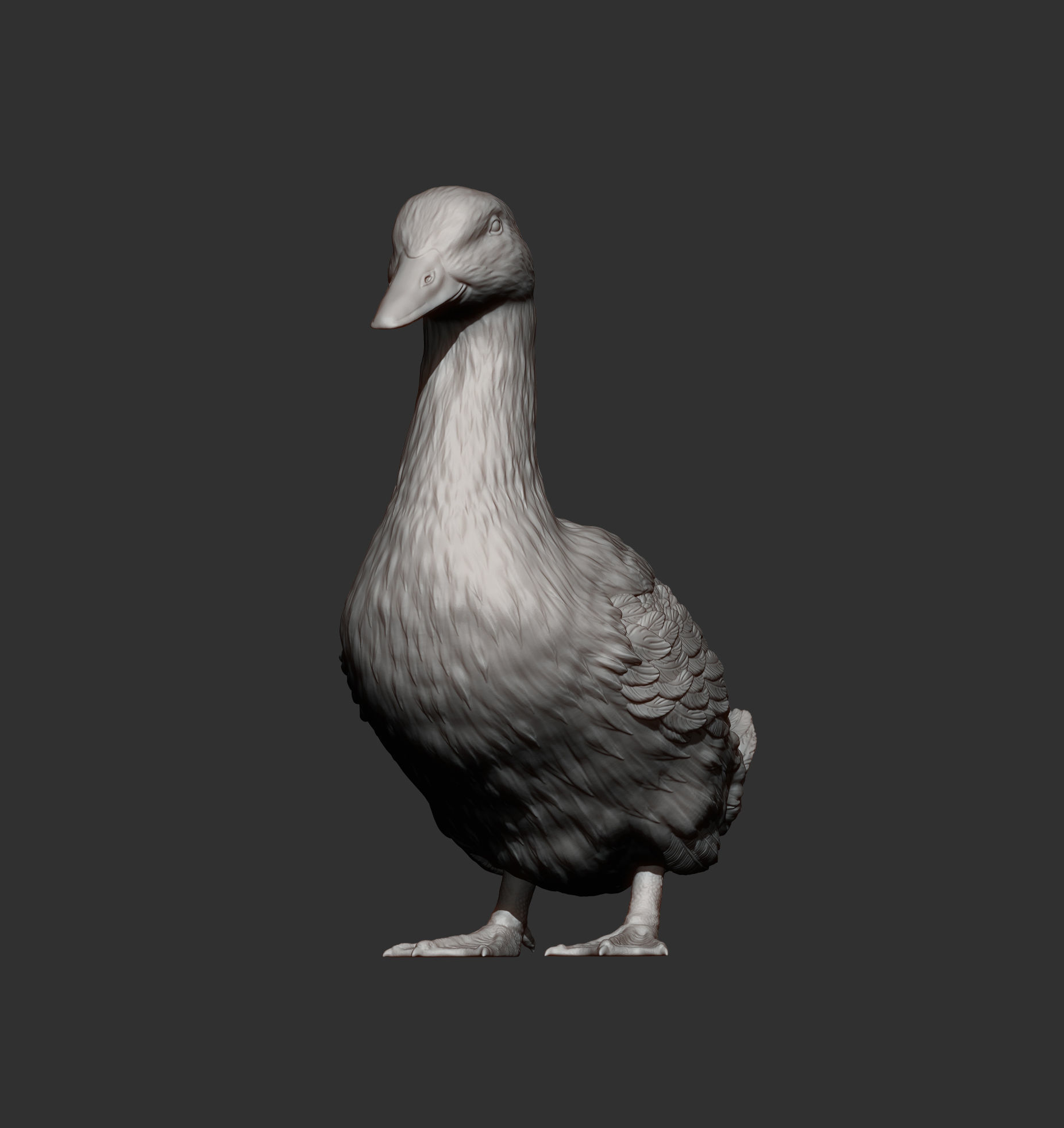 pekin duck 3D print model_11