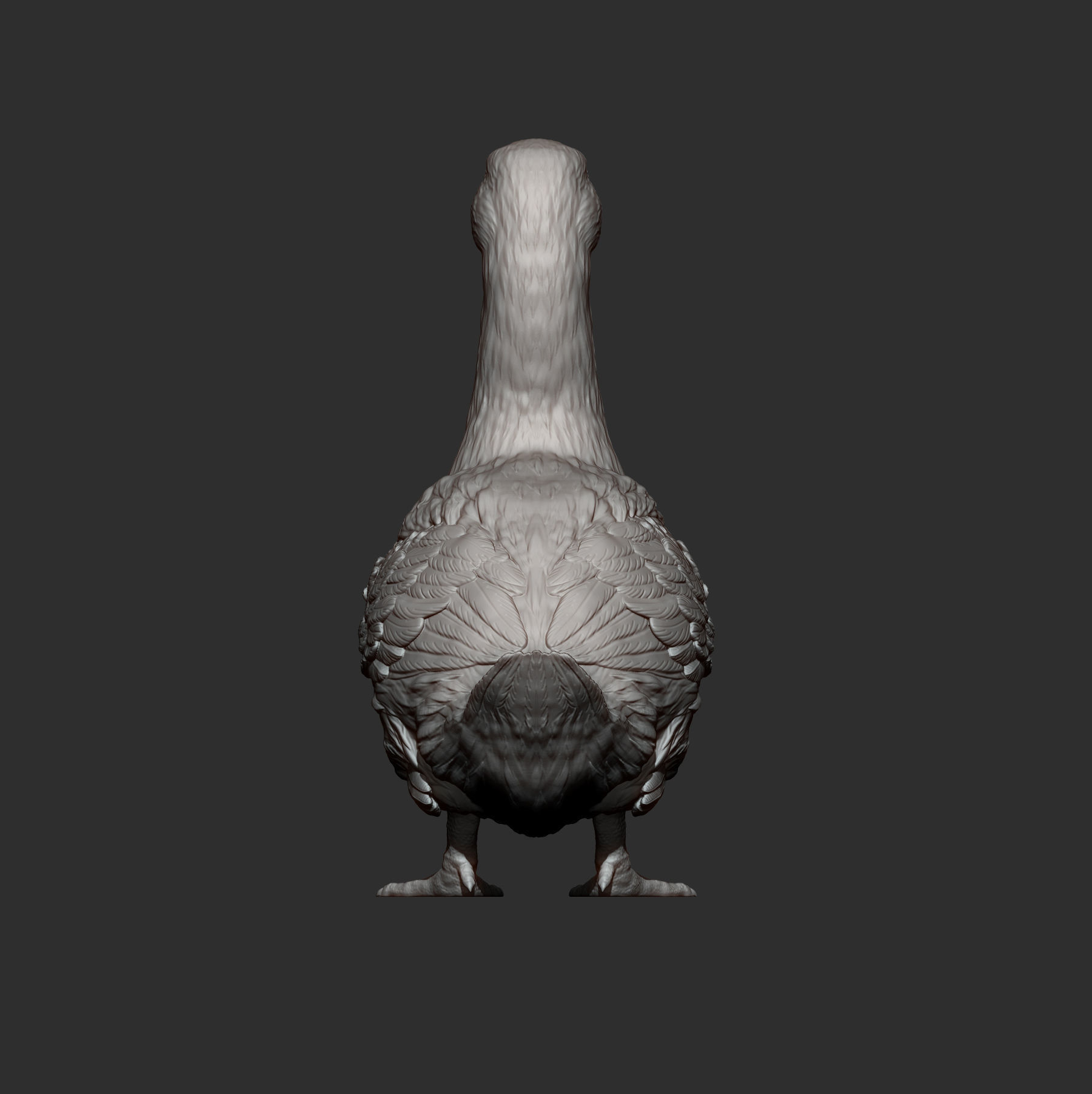 pekin duck 3D print model_9