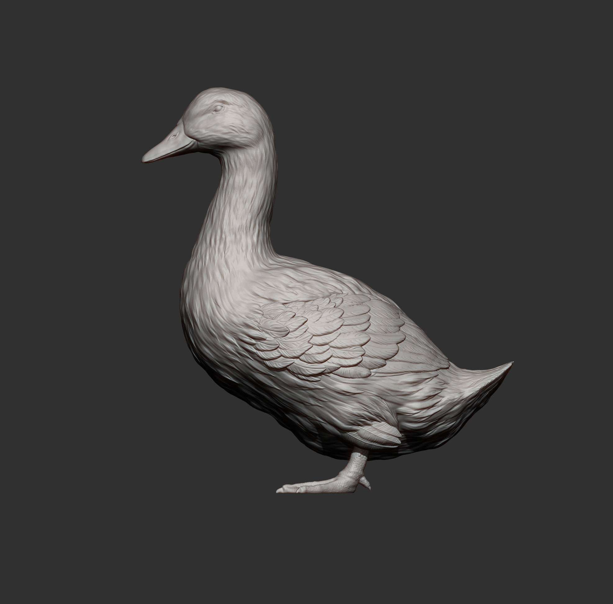 pekin duck 3D print model_8