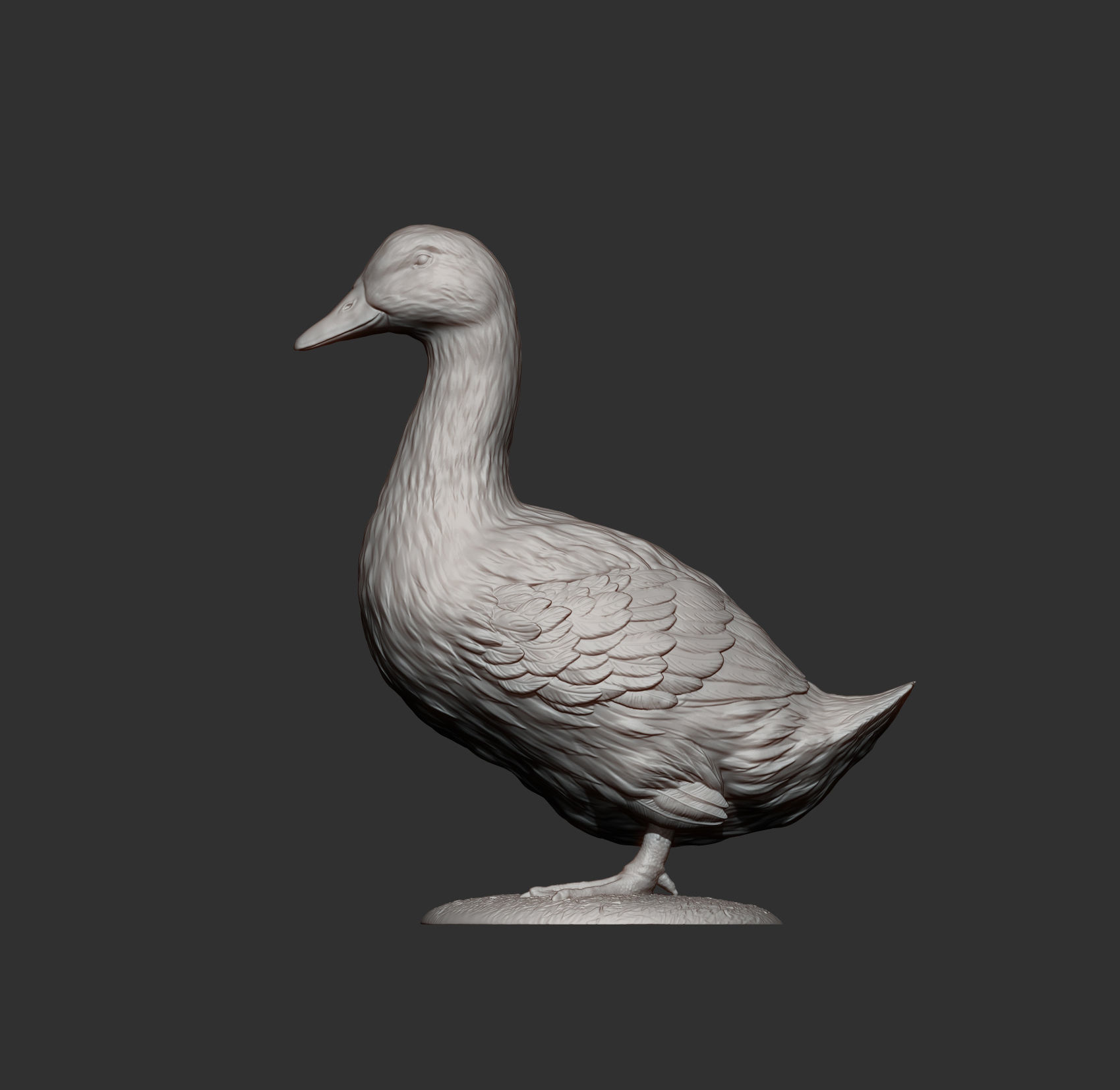 pekin duck 3D print model_10