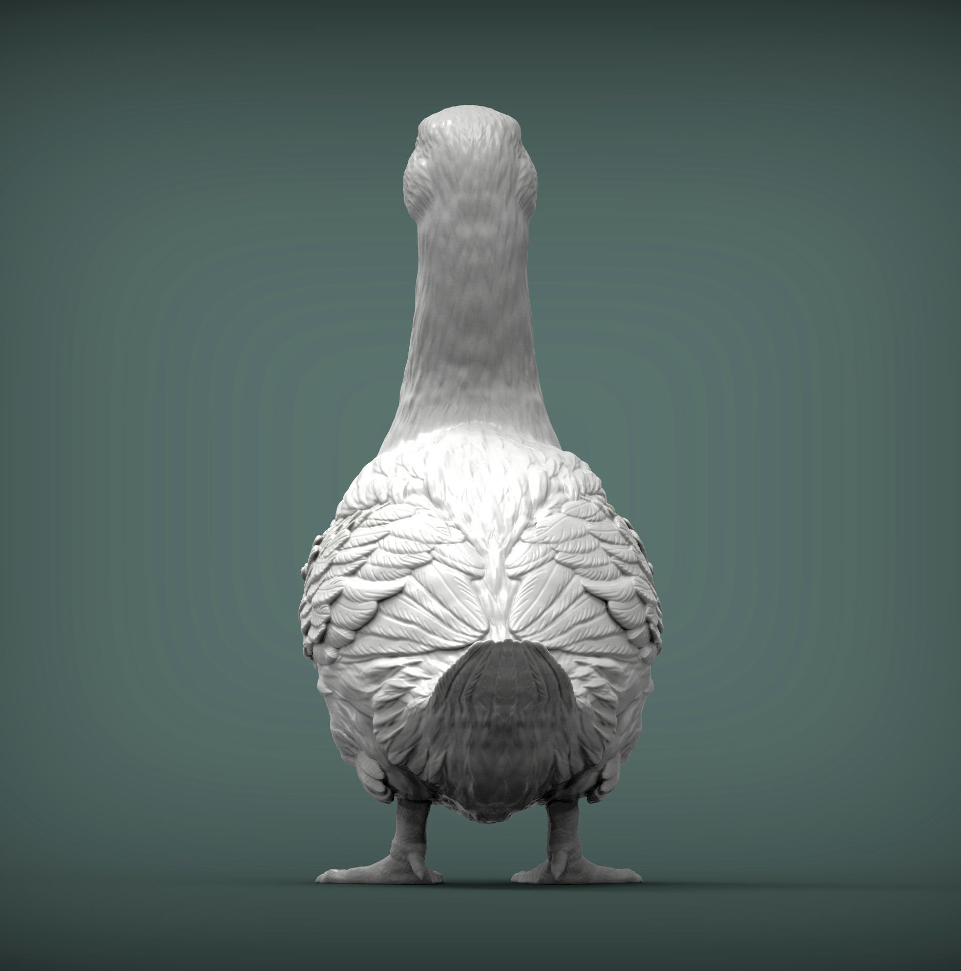 pekin duck 3D print model_6