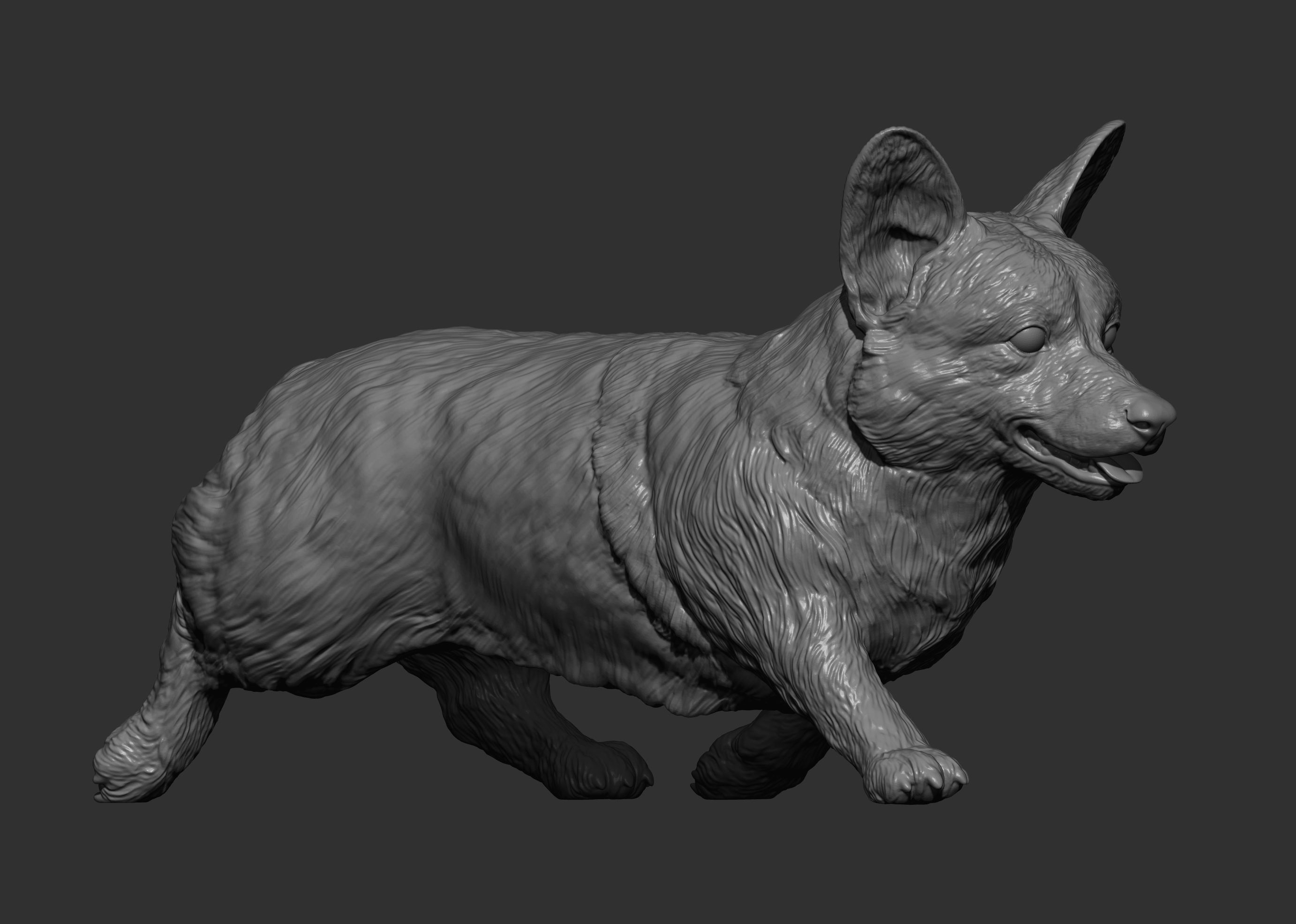 Pembroke Corgi runs 3D print model_2