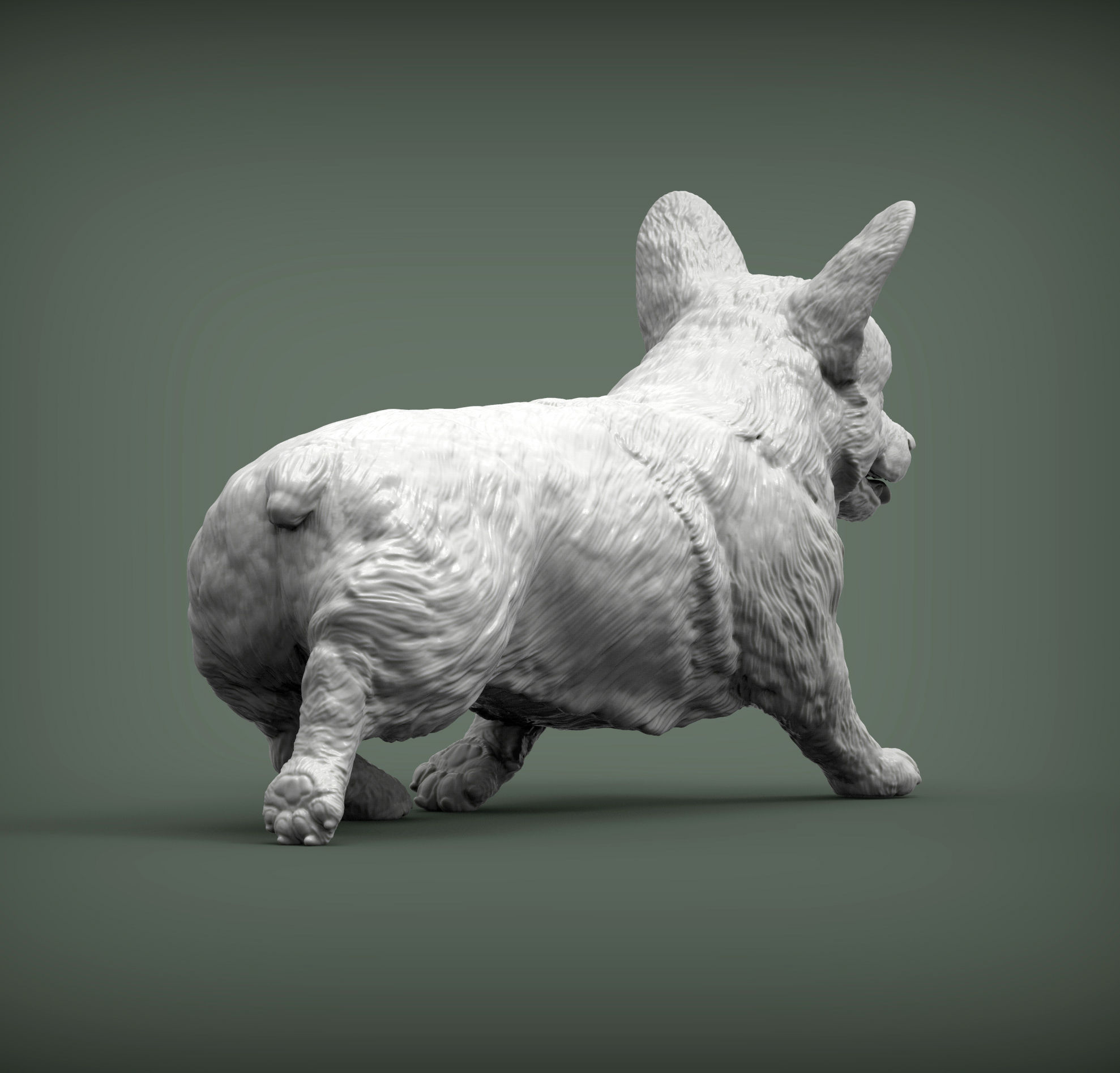Pembroke Corgi runs 3D print model_10