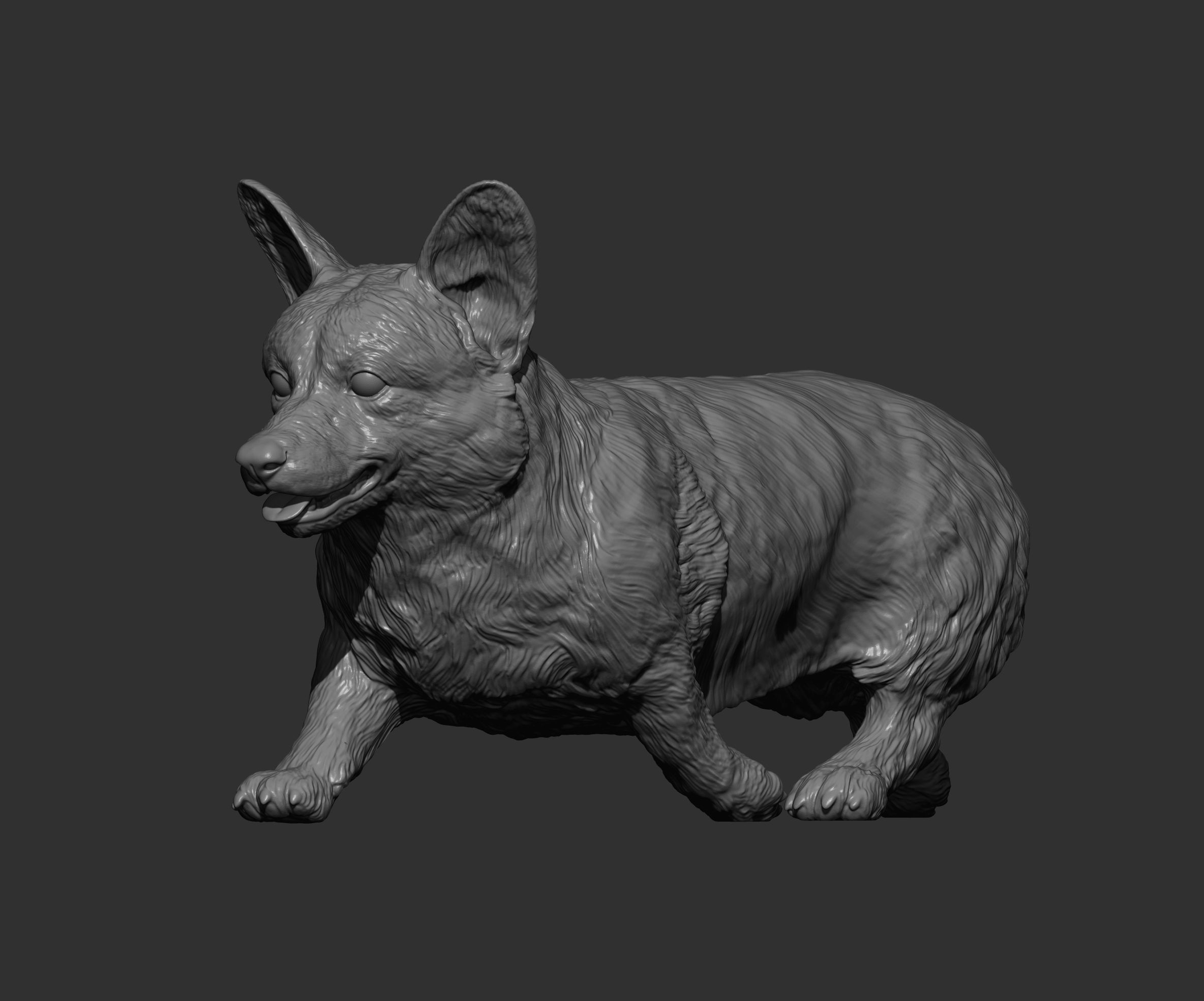Pembroke Corgi runs 3D print model_12