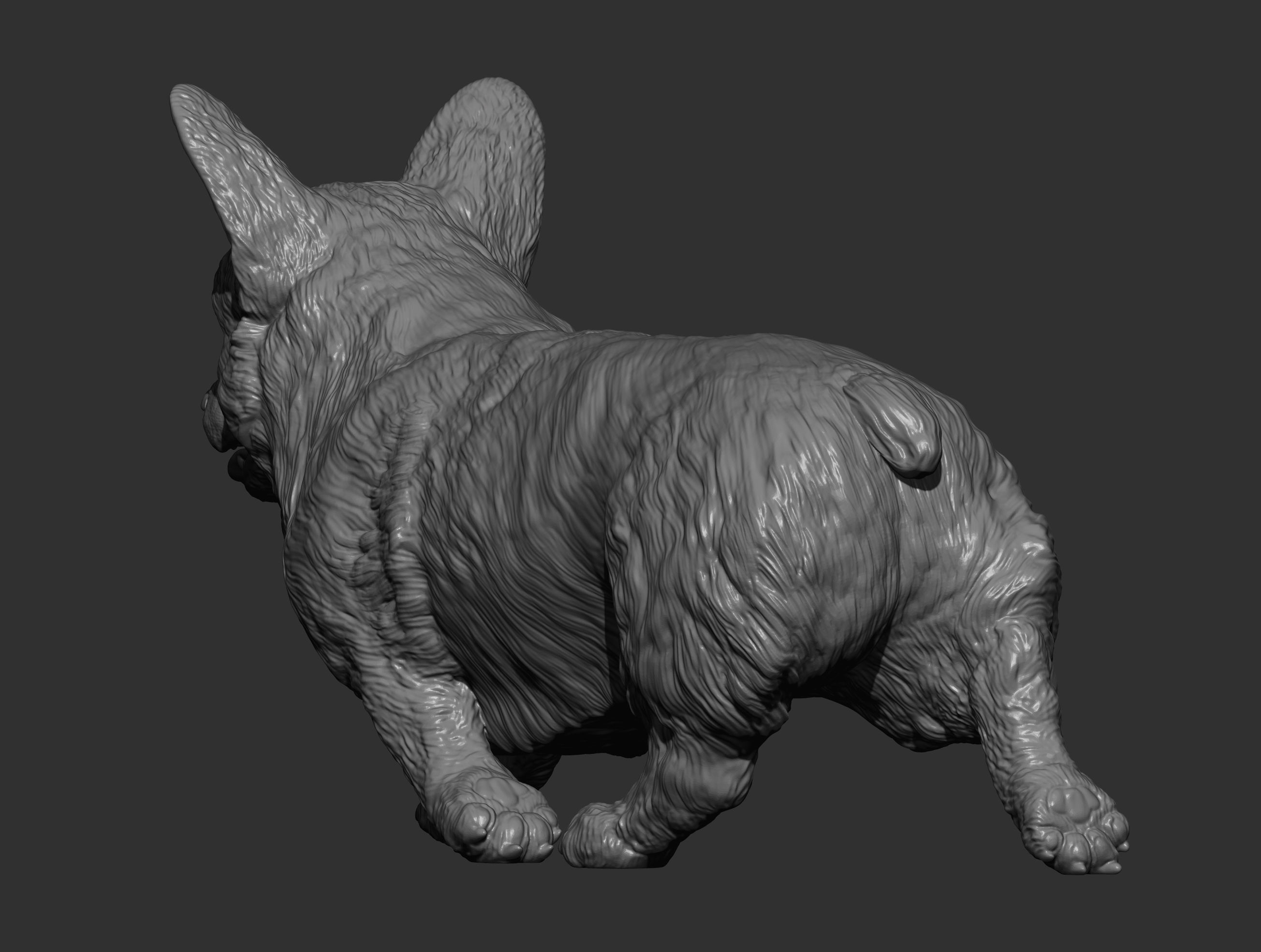 Pembroke Corgi runs 3D print model_3
