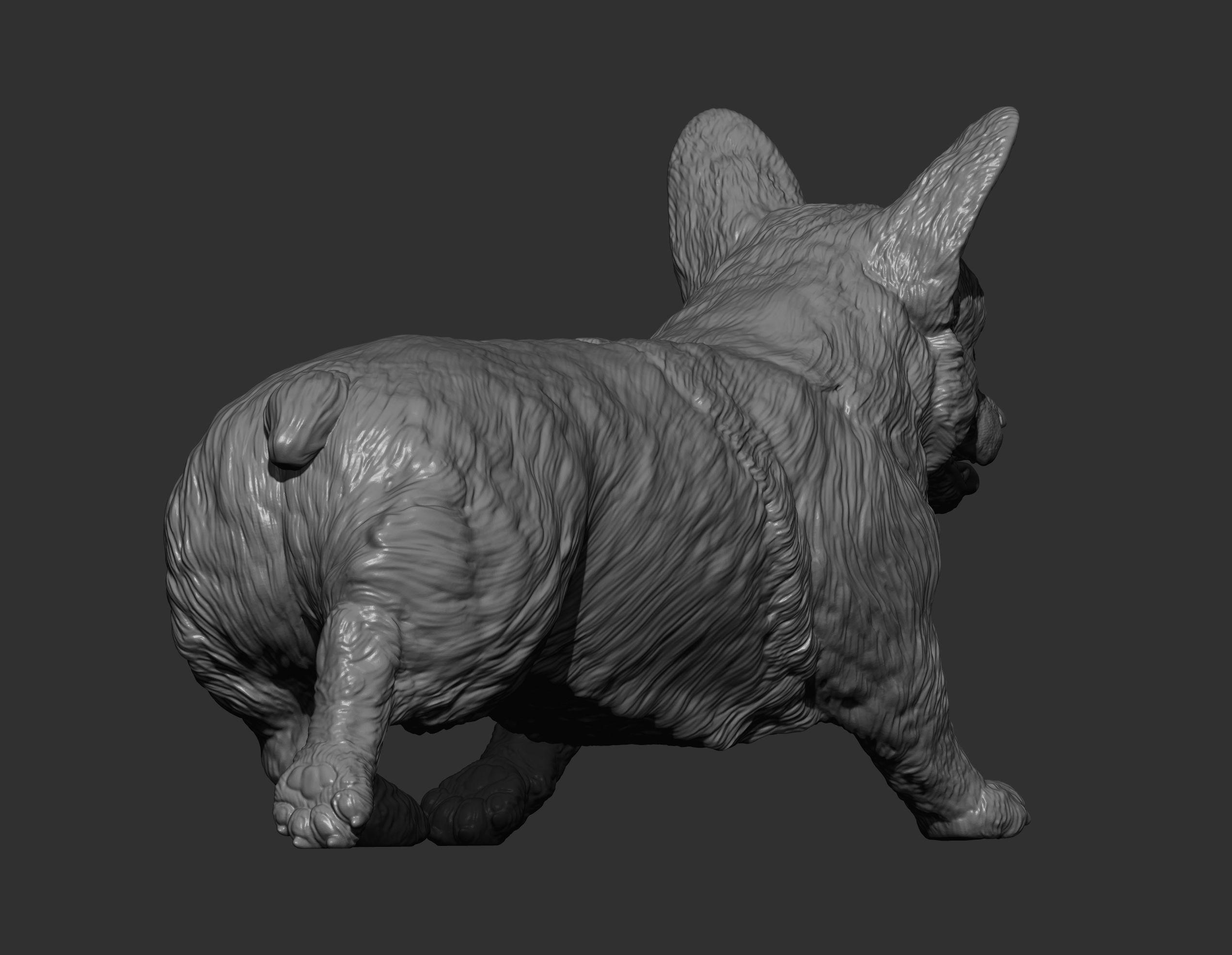Pembroke Corgi runs 3D print model_4