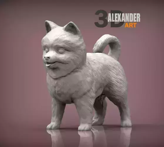 Pomeranian short hairstyle 3D print model