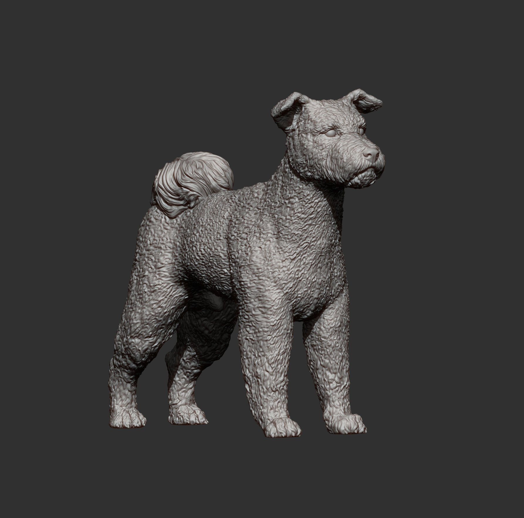 Pumi 3d model 3D print model_13