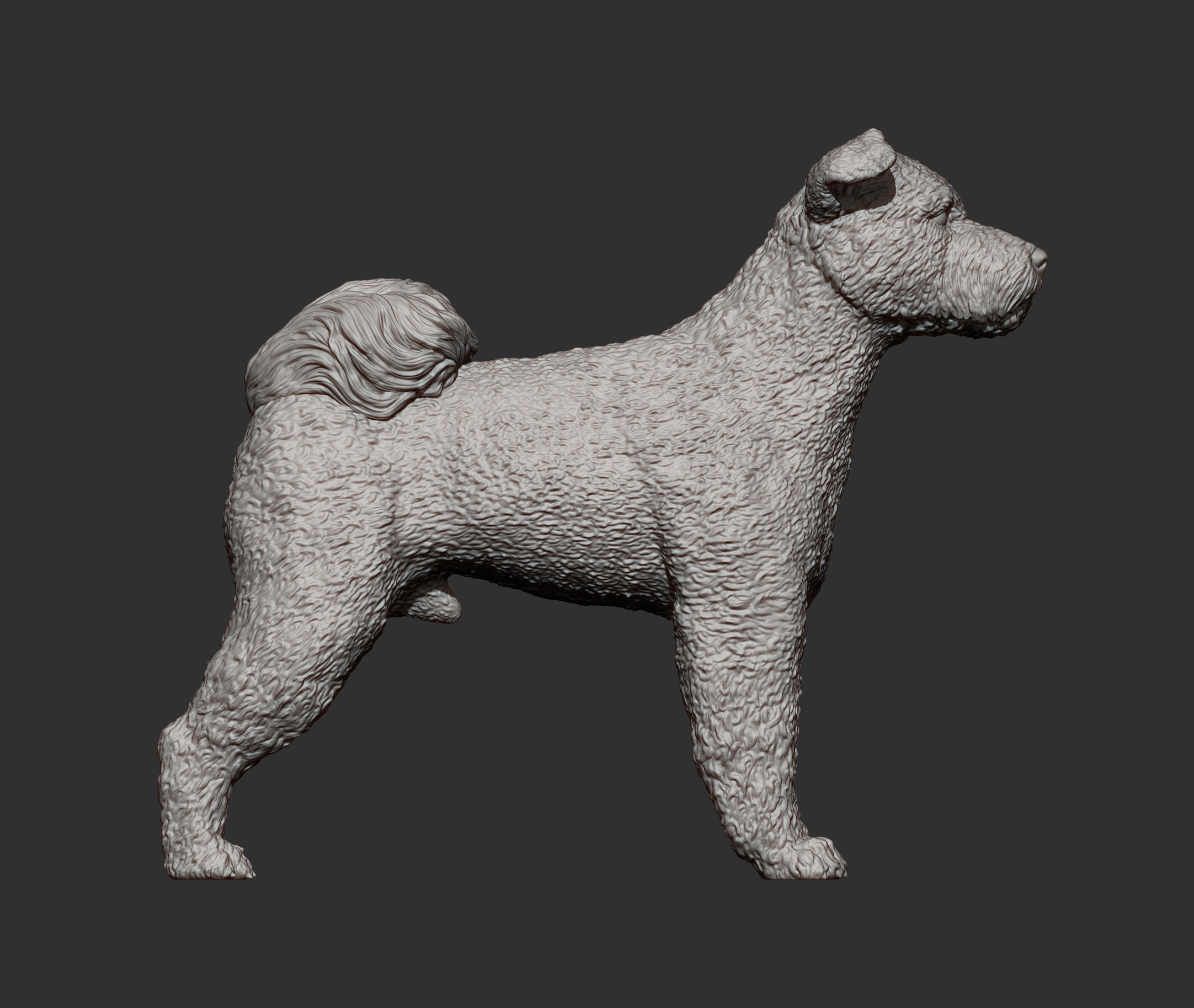 Pumi 3d model 3D print model_10
