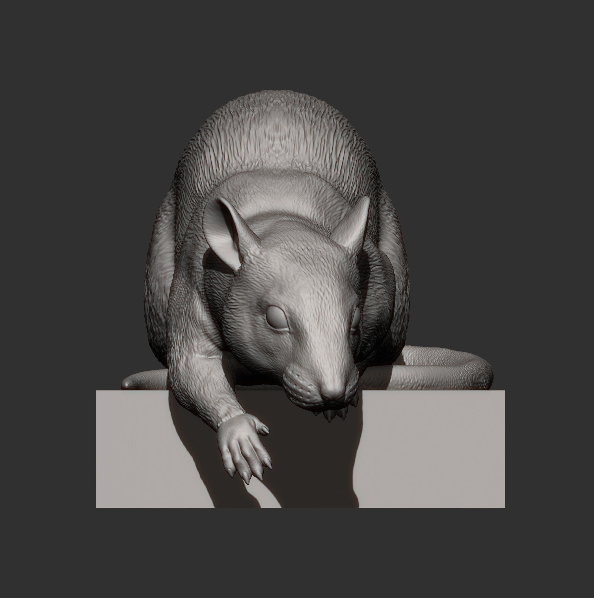 Rat looking down 3D print model_18