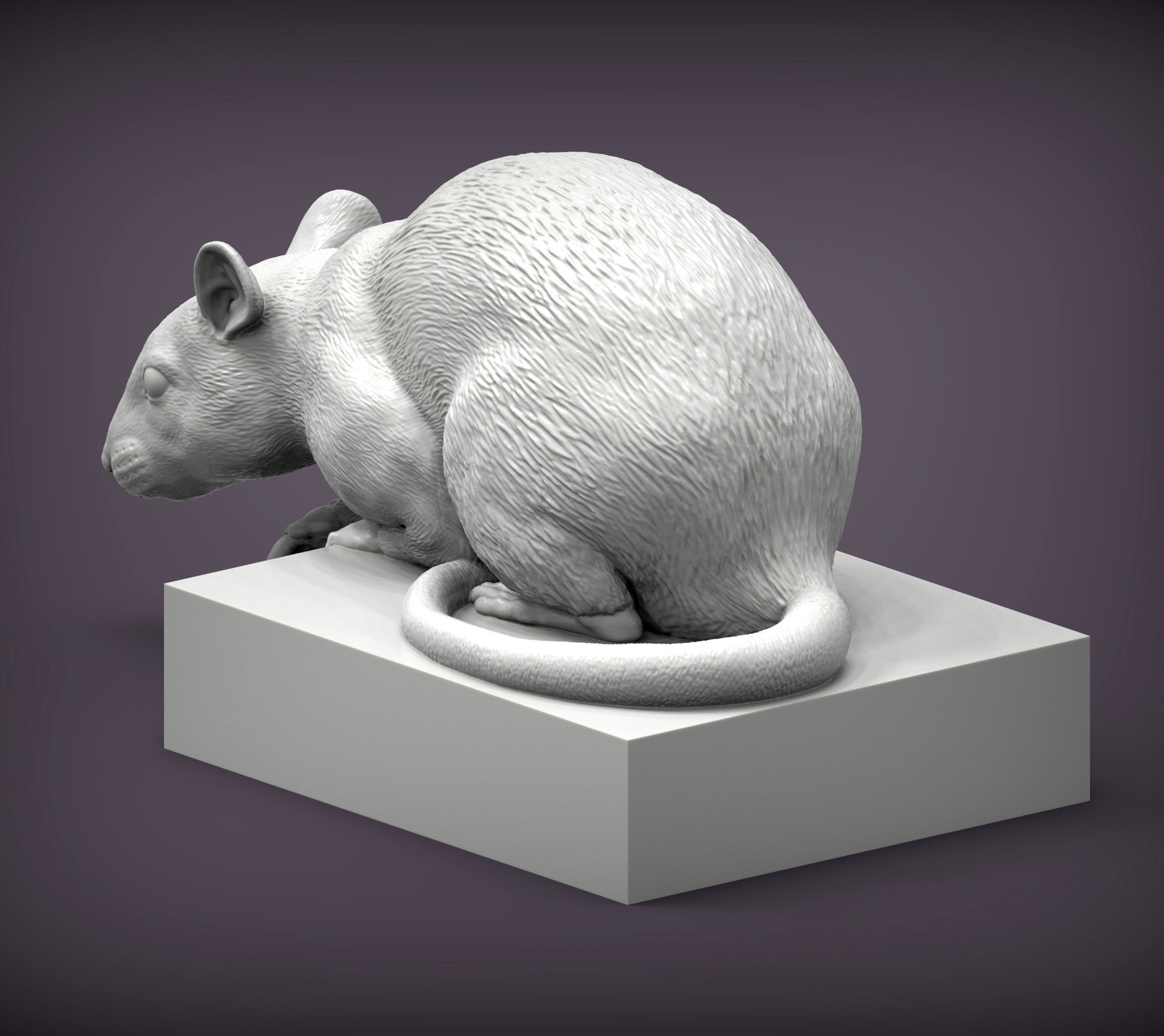 Rat looking down 3D print model_5
