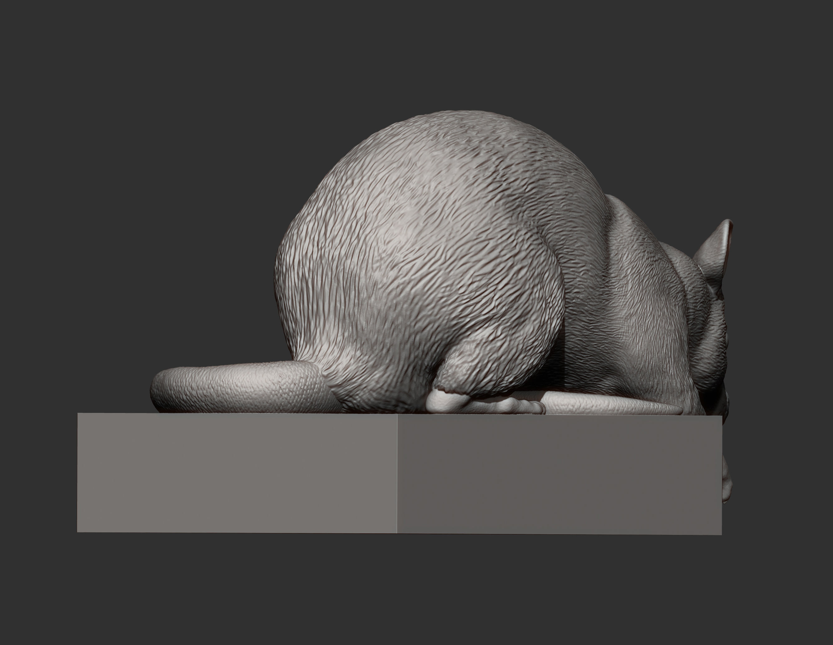 Rat looking down 3D print model_11