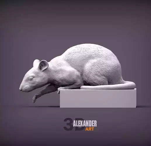 Rat looking down 3D print model