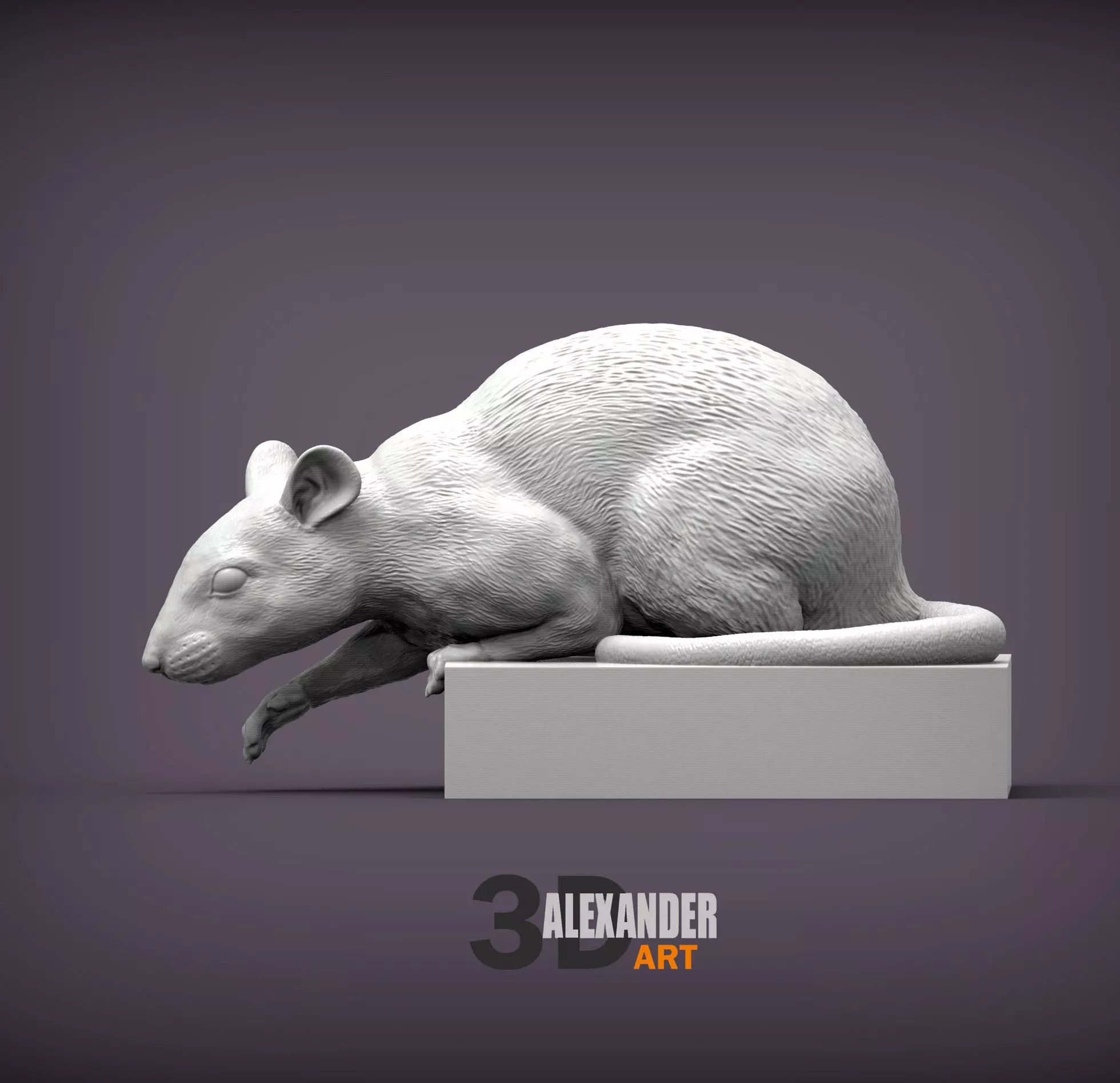 Rat looking down 3D print model_0