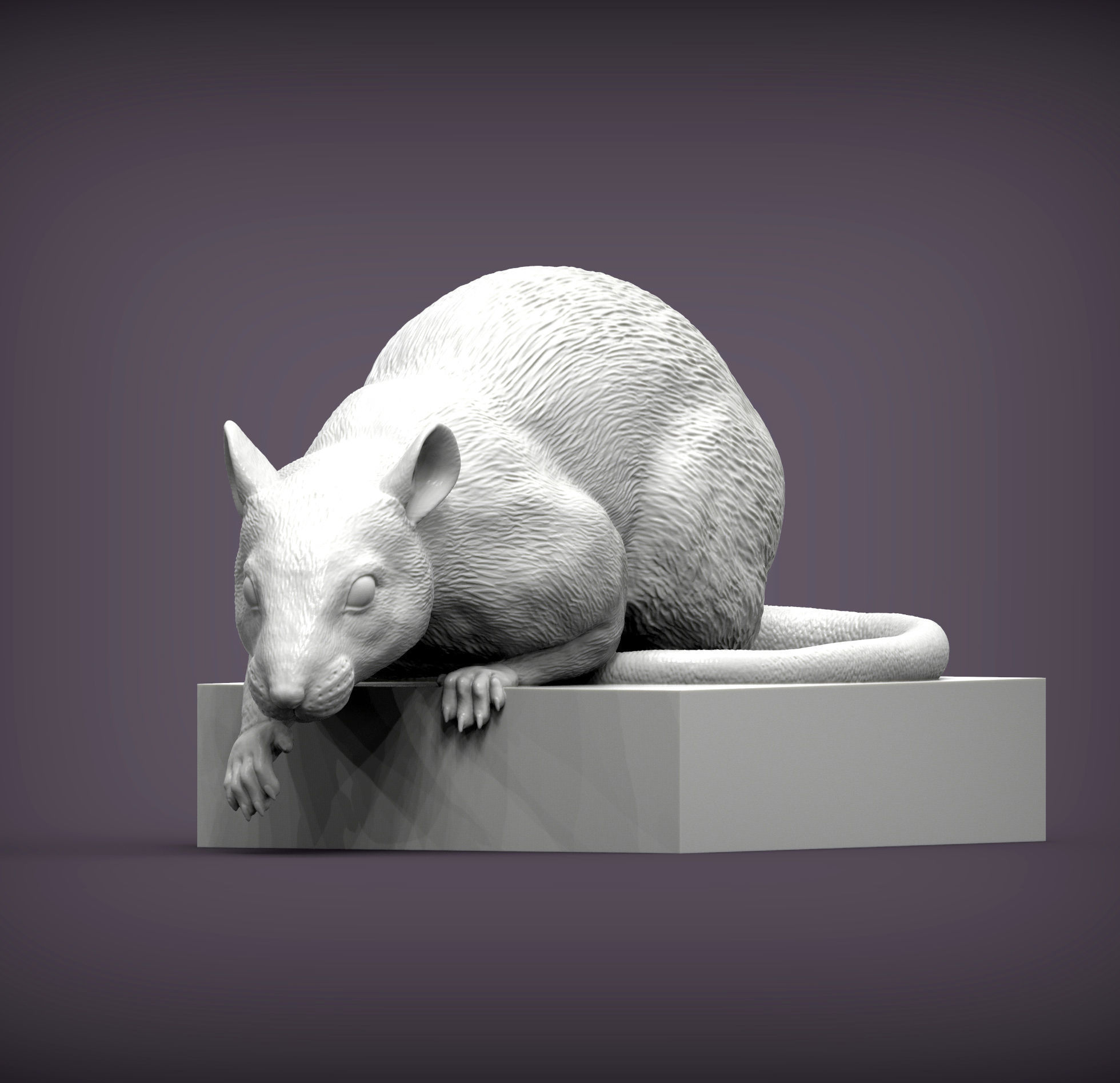 Rat looking down 3D print model_2