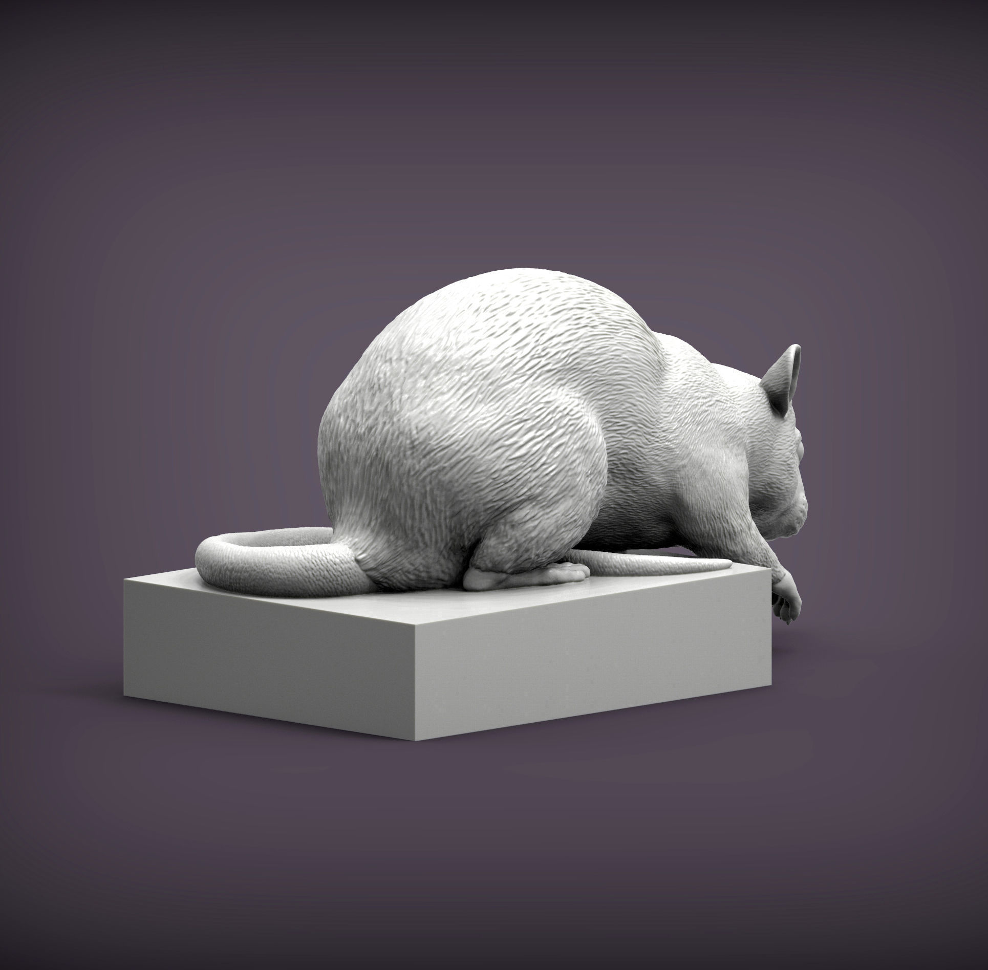 Rat looking down 3D print model_6