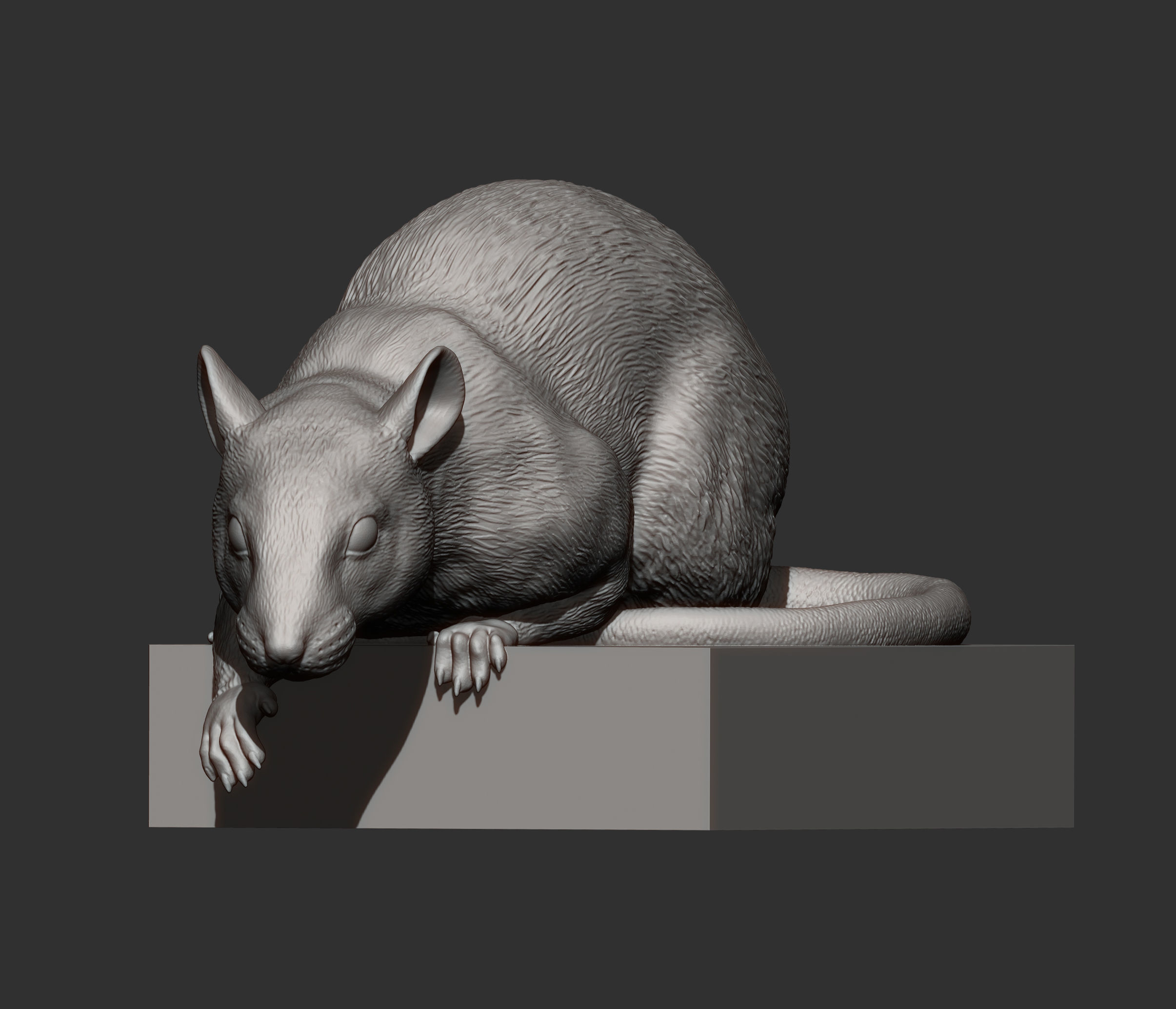 Rat looking down 3D print model_17
