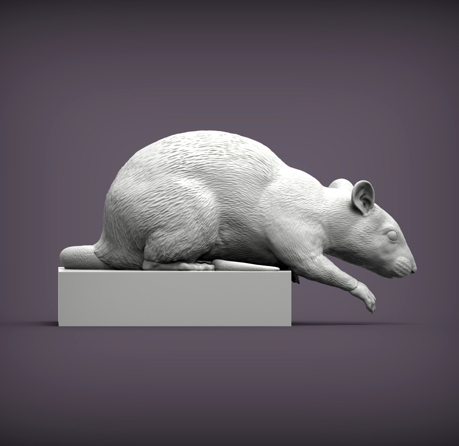 Rat looking down 3D print model_4
