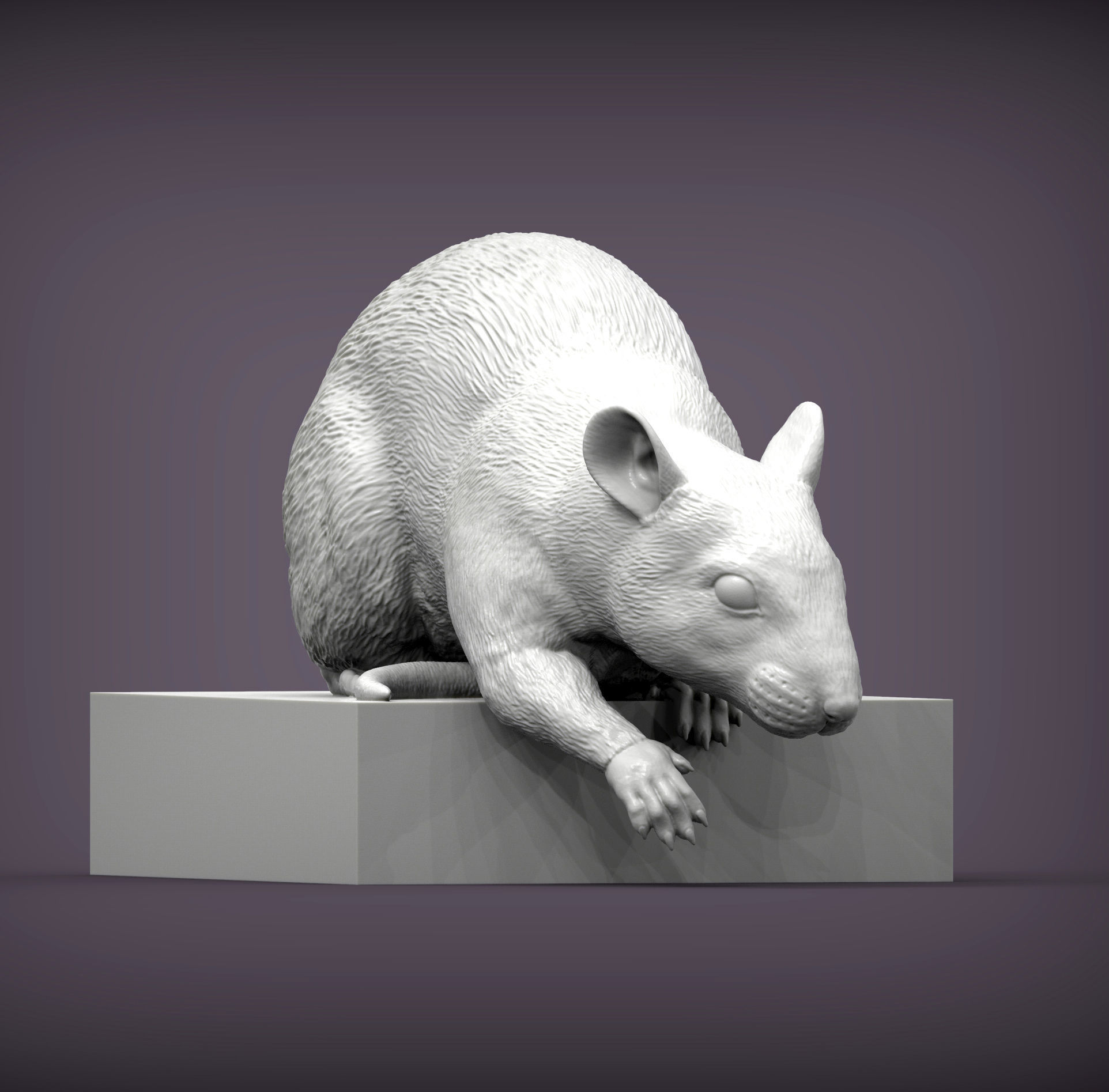 Rat looking down 3D print model_3