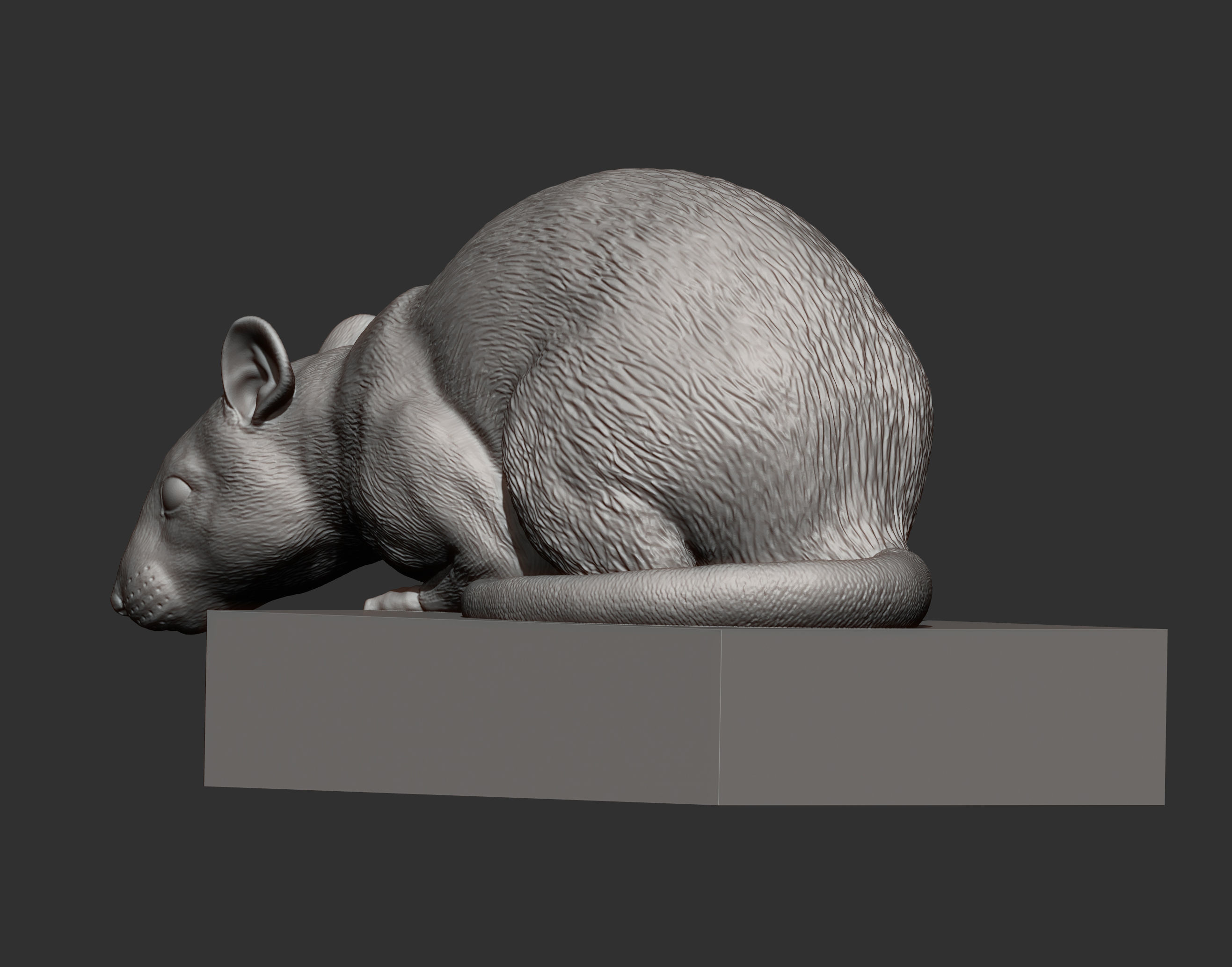 Rat looking down 3D print model_13