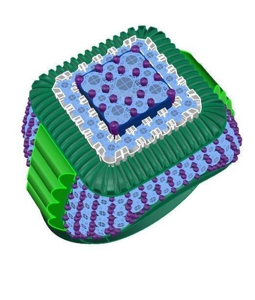 Ring collection 3D print model_1