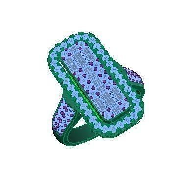 Ring collection 3D print model