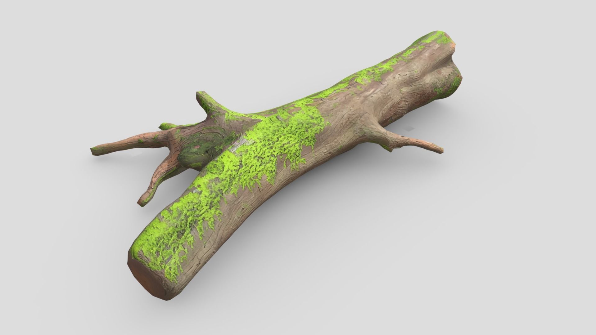 Fallen Tree 2 Low-poly 3D model_7