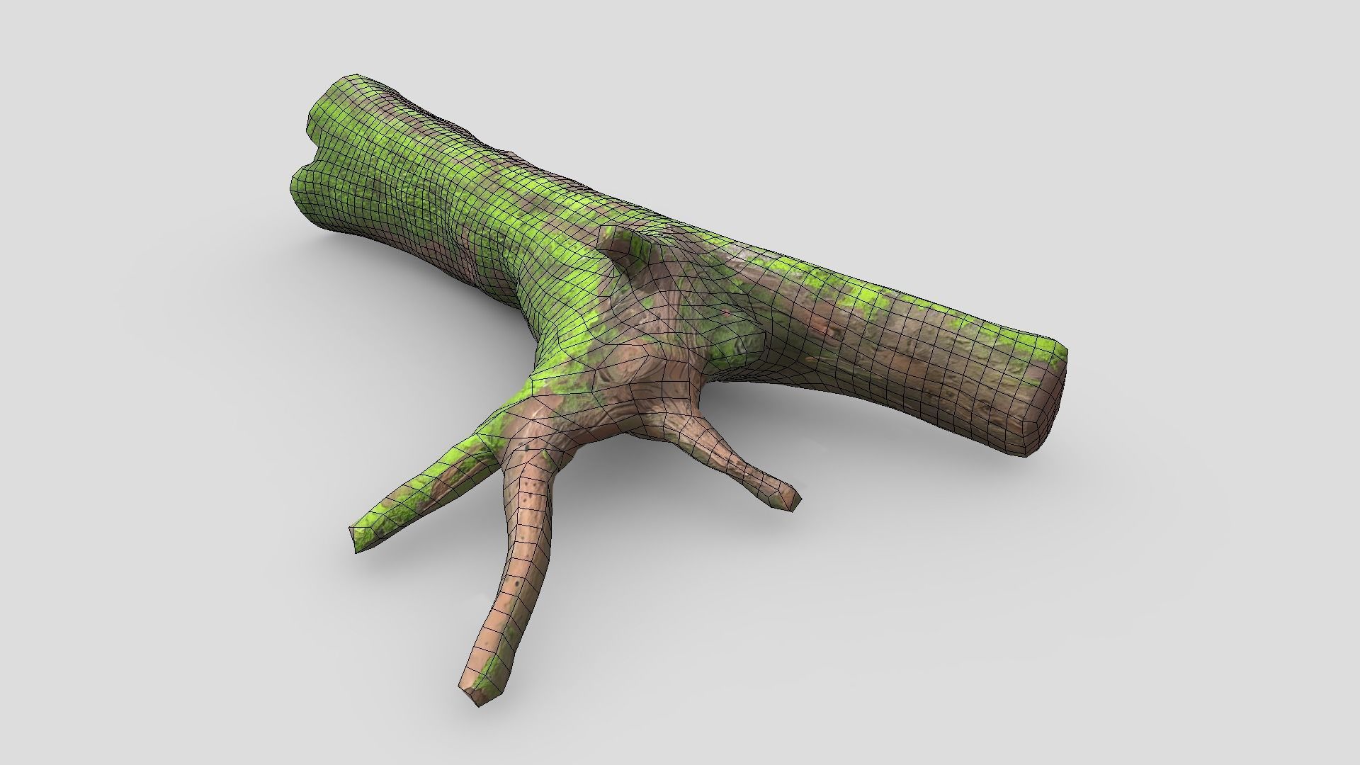 Fallen Tree 2 Low-poly 3D model_6