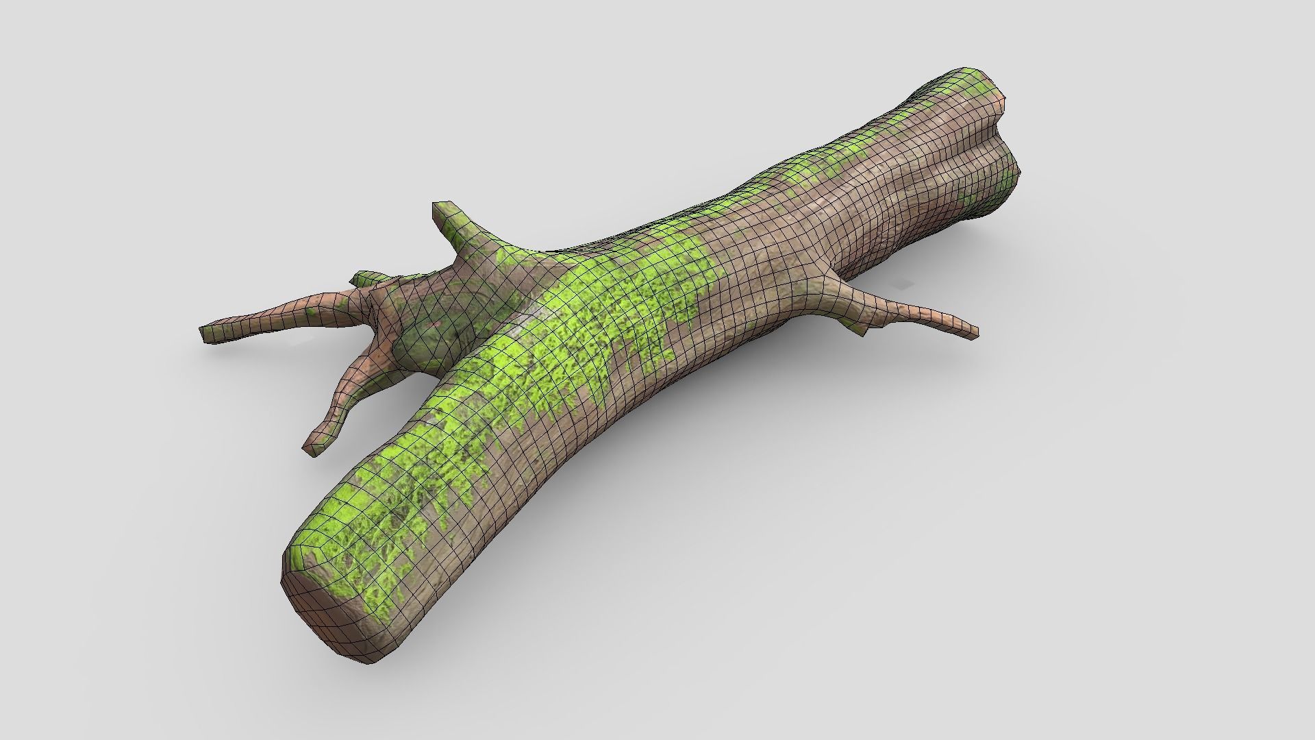Fallen Tree 2 Low-poly 3D model_8
