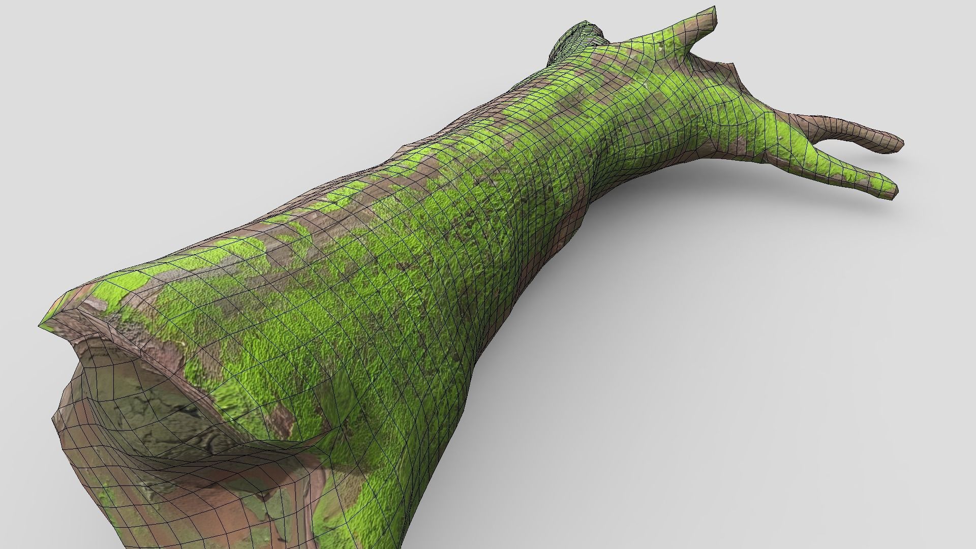 Fallen Tree 2 Low-poly 3D model_10