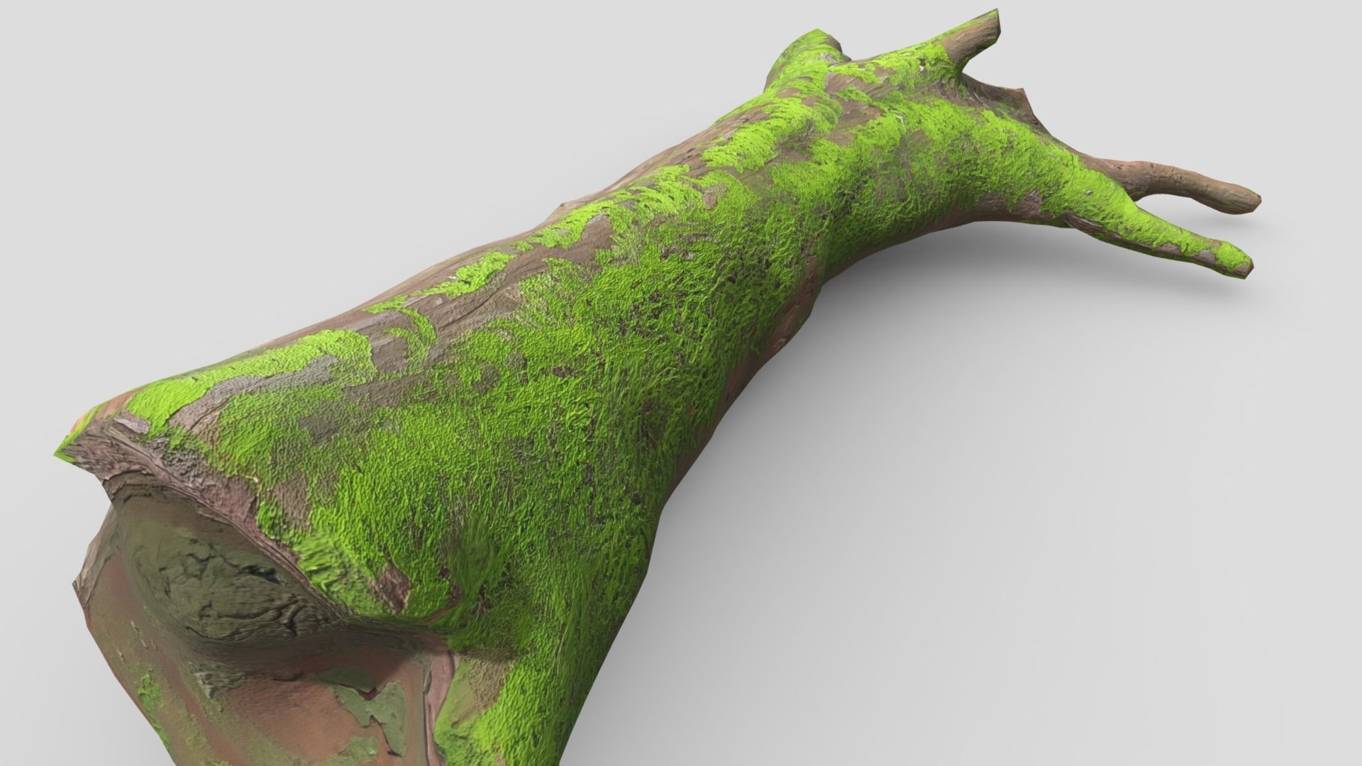 Fallen Tree 2 Low-poly 3D model_9