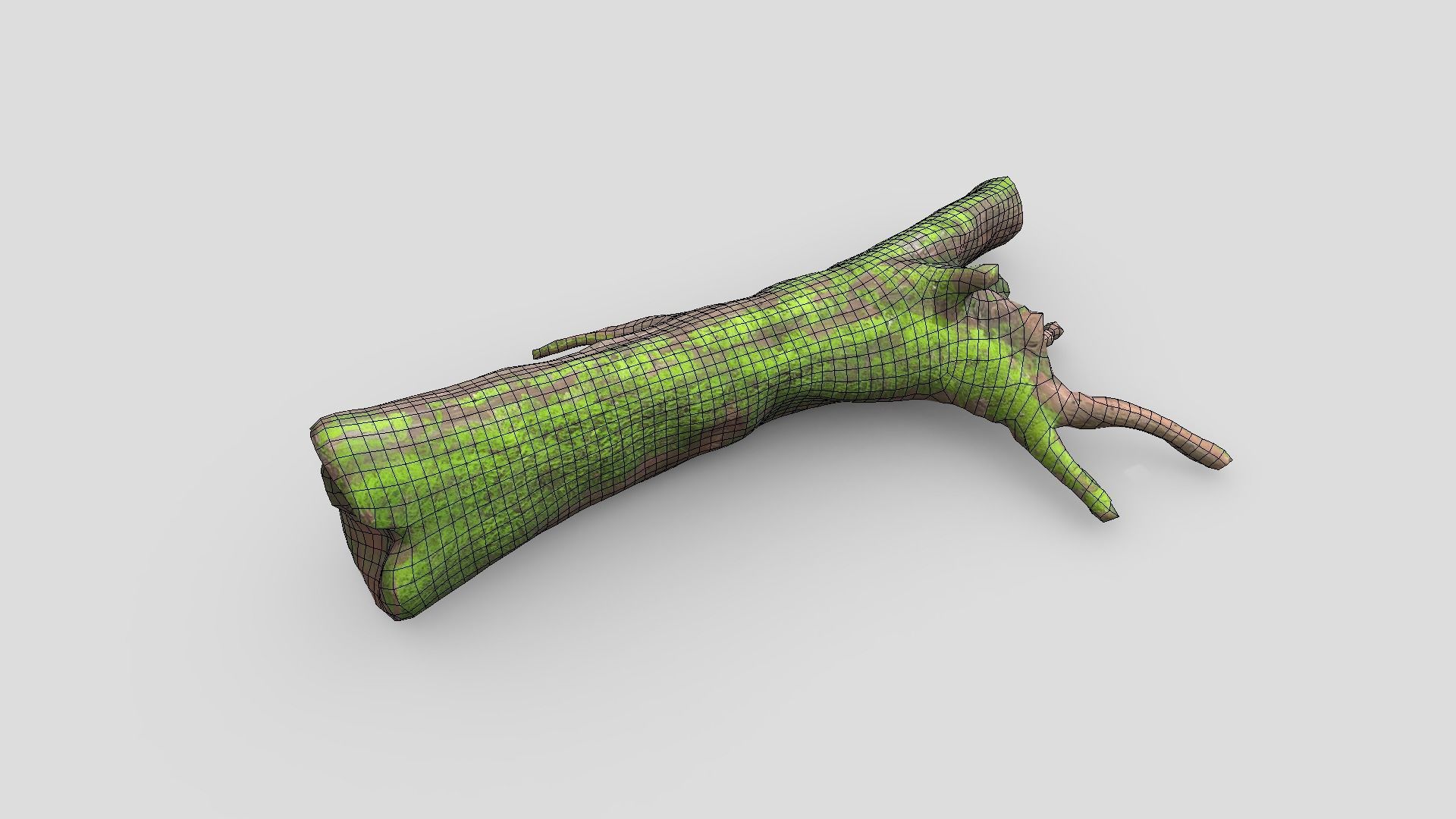 Fallen Tree 2 Low-poly 3D model_2