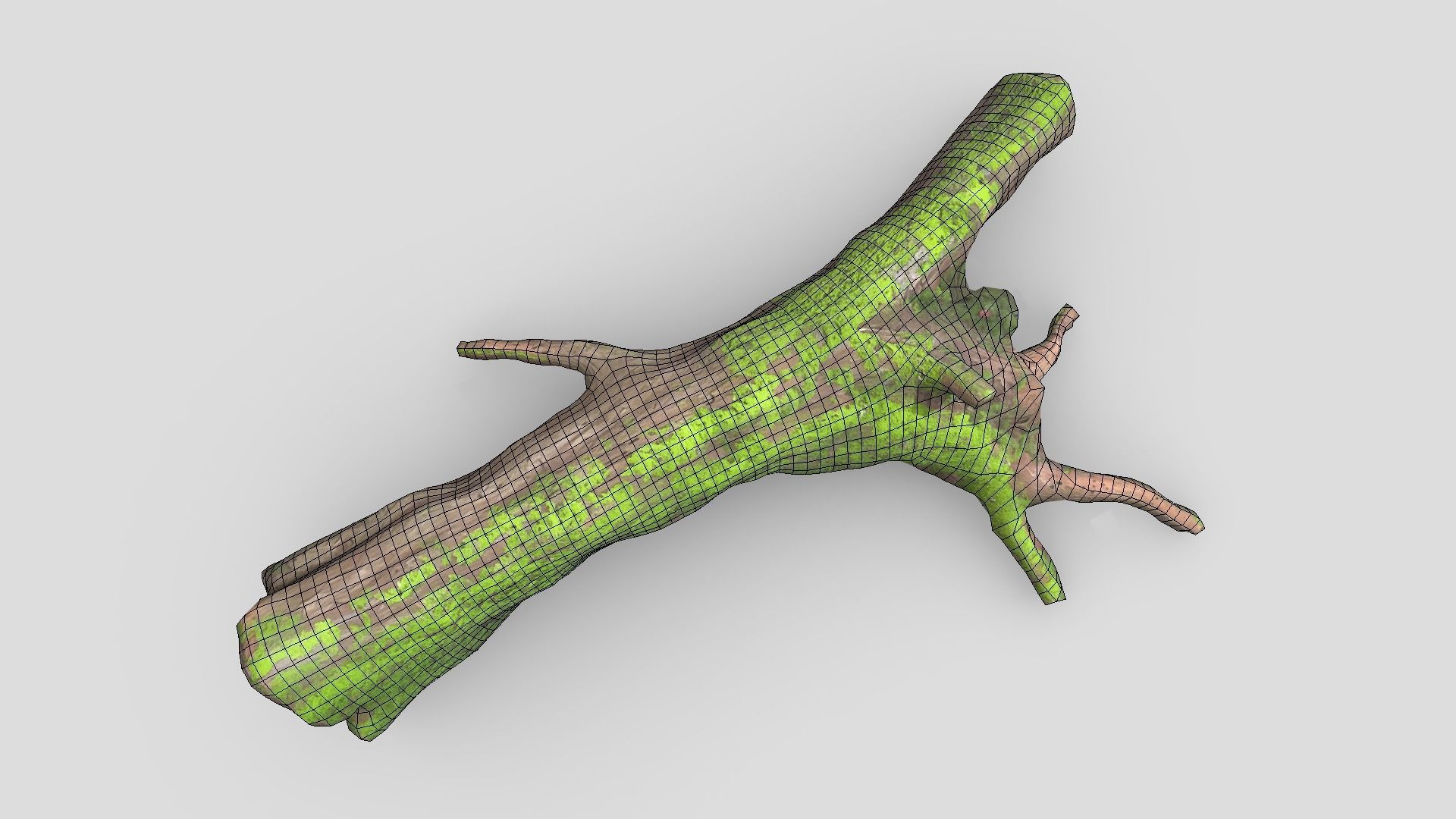 Fallen Tree 2 Low-poly 3D model_4