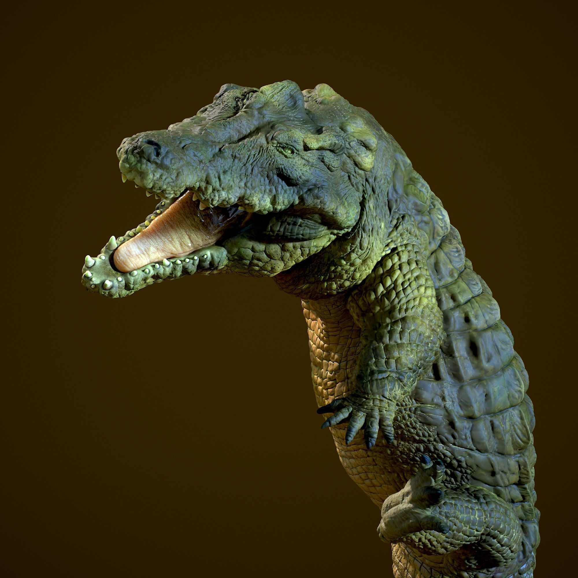 Crodocile 3D print model_3