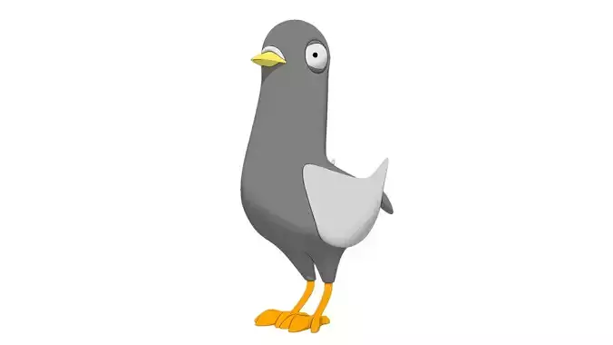 Pigeon