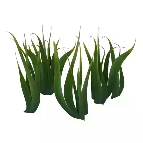 low poly big grass Low-poly 3D model