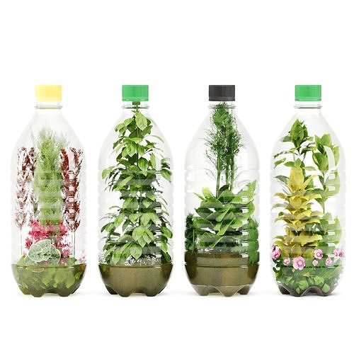Decorative Indoor Plant Set 03 3D model