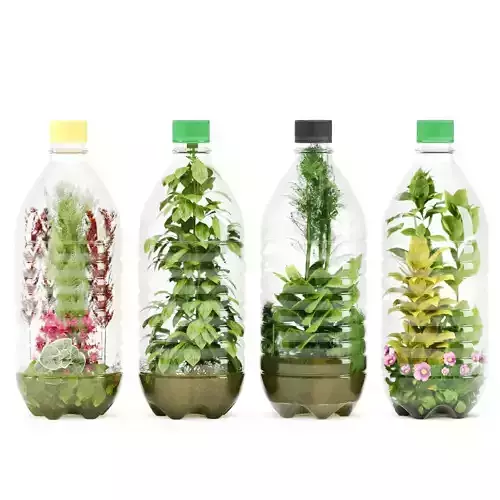 Decorative Indoor Plant Set 03